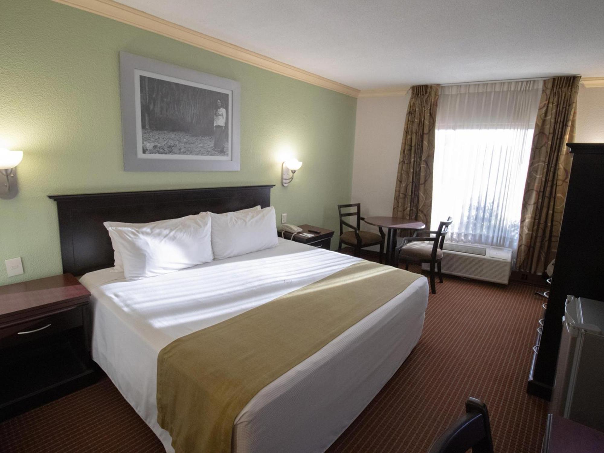 Standard King Room