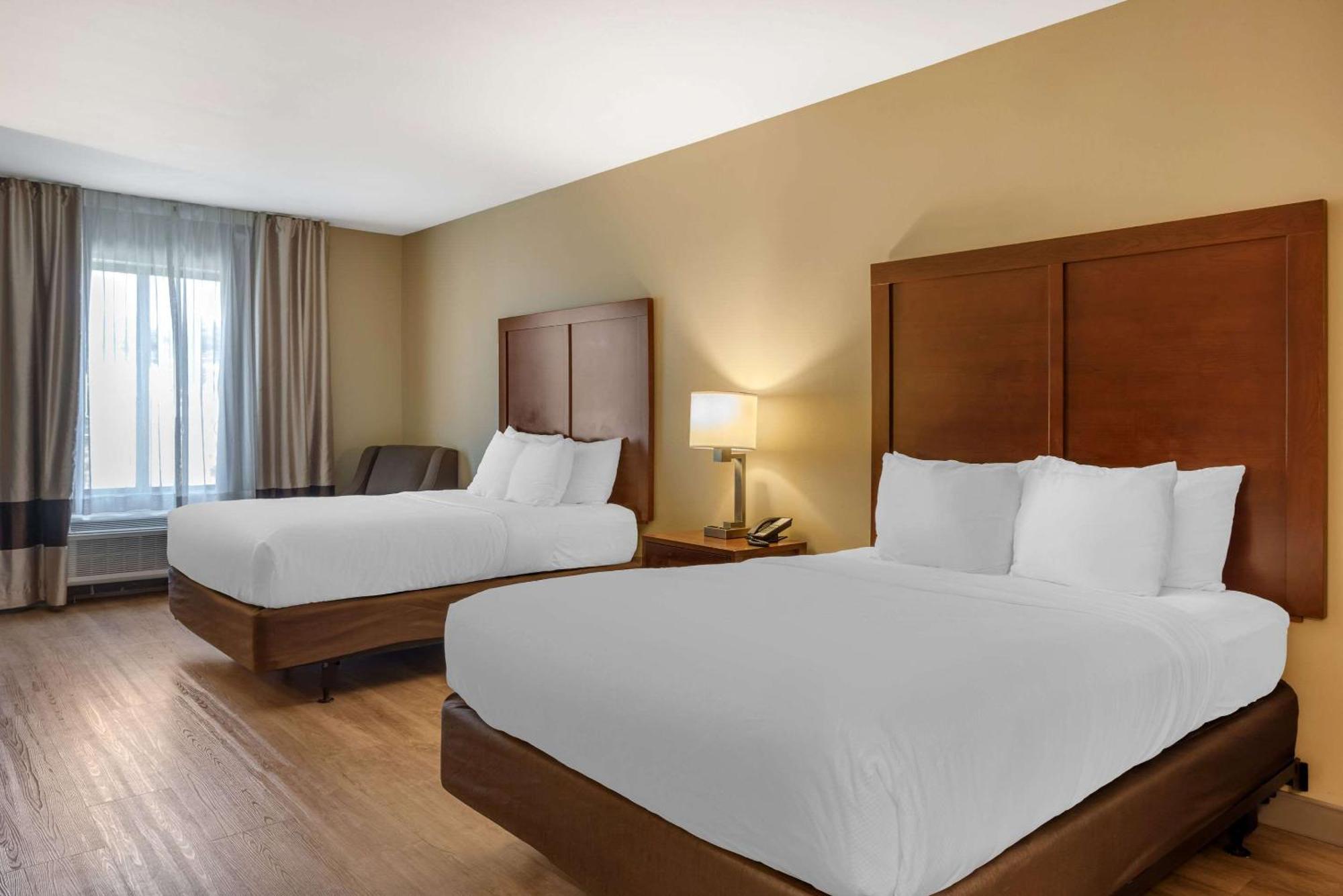 Queen Room Two Queen Beds Non-Smoking