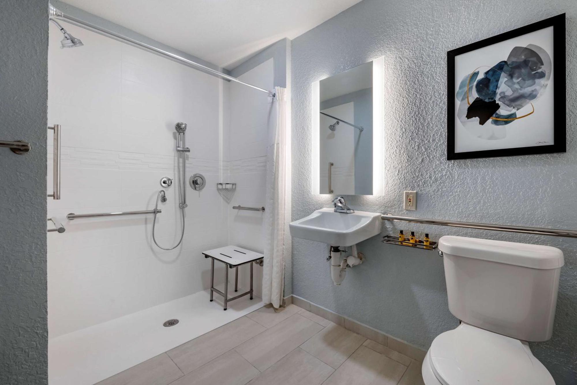 King Room with Mobility Accessible Roll-In Shower