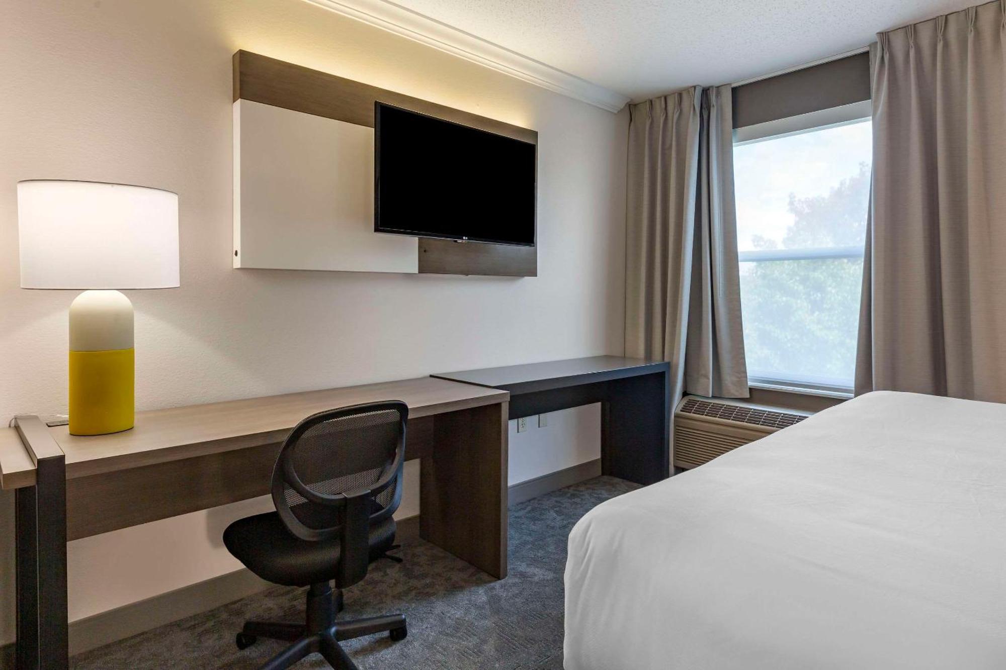 Standard King Room - Non Smoking