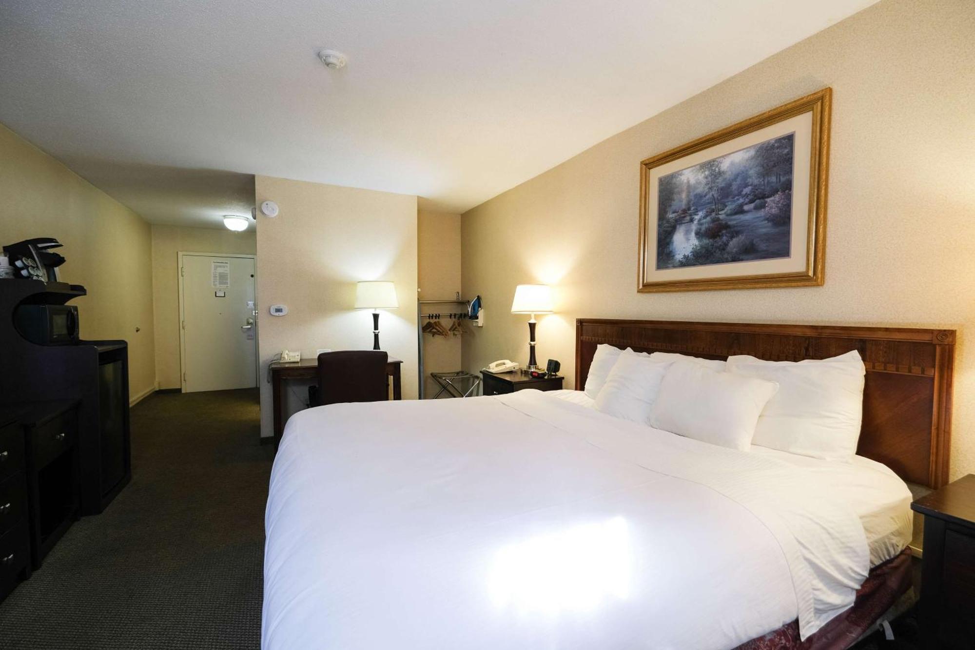 King Room with Roll-In Shower - Disability Access