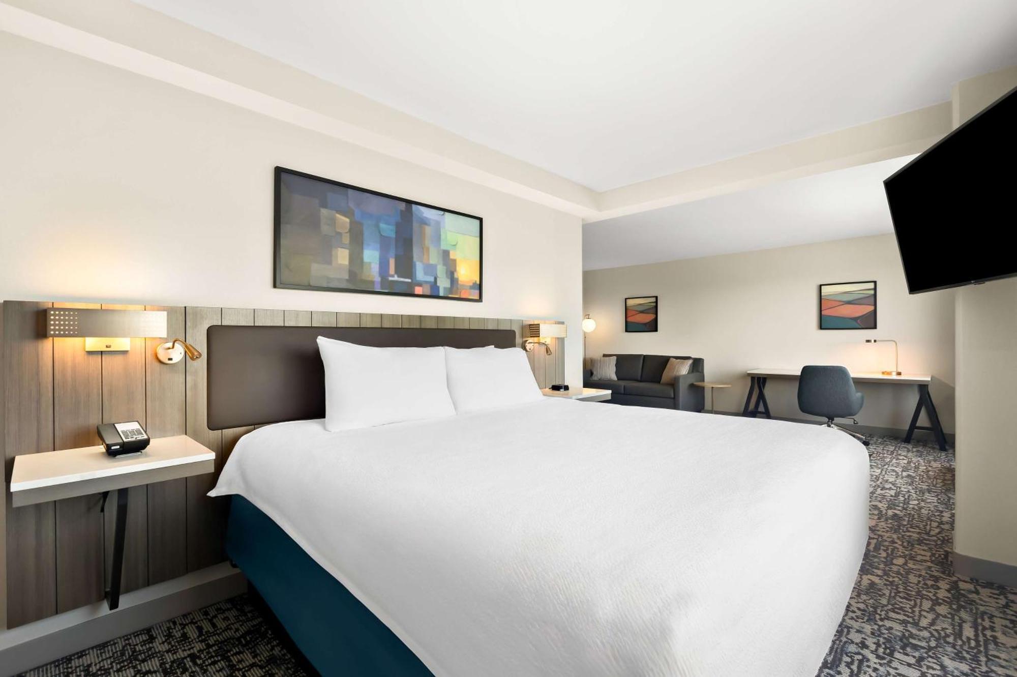 Junior King Suite with One King Bed and Sofa Bed