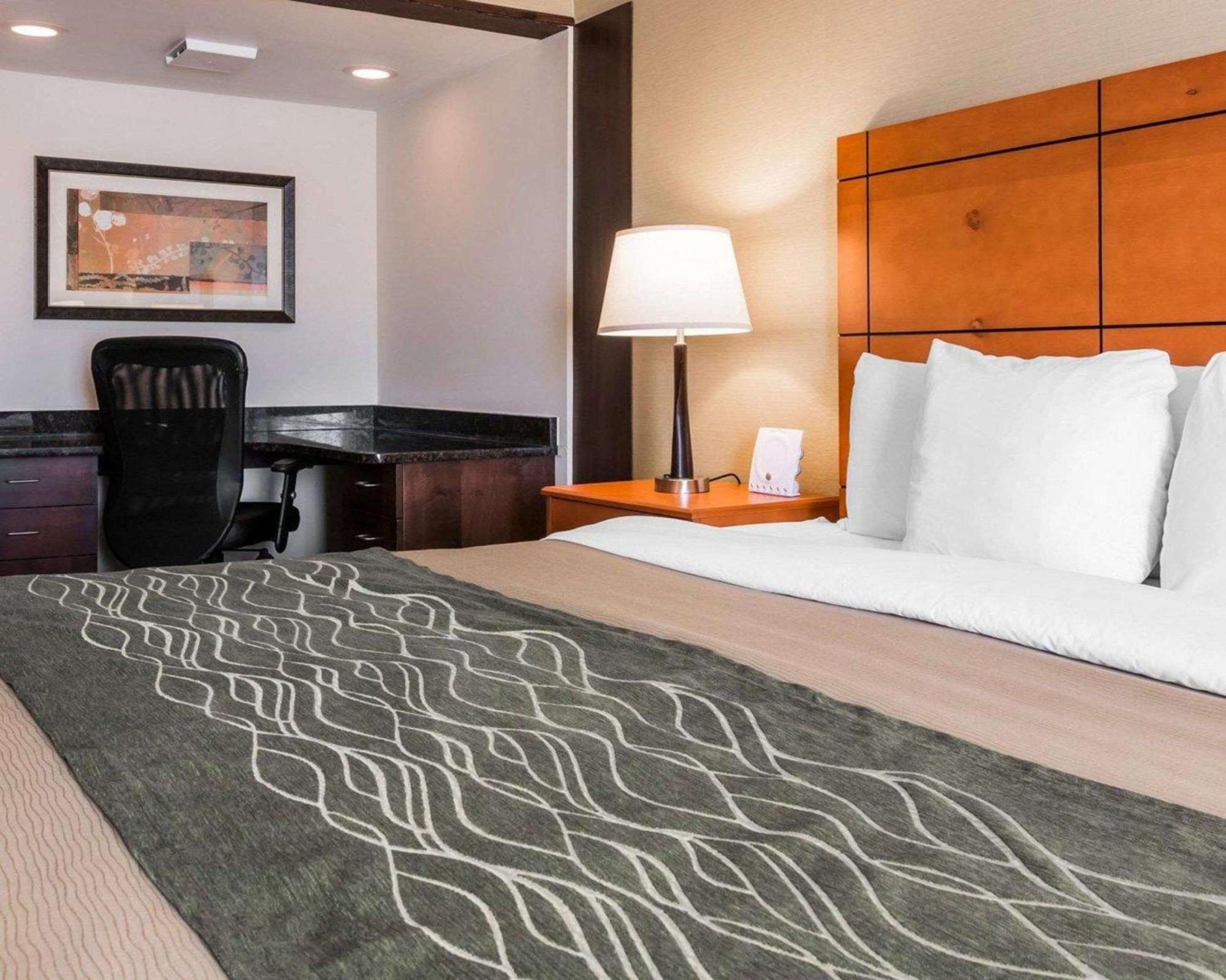 Executive King Room - Non-Smoking