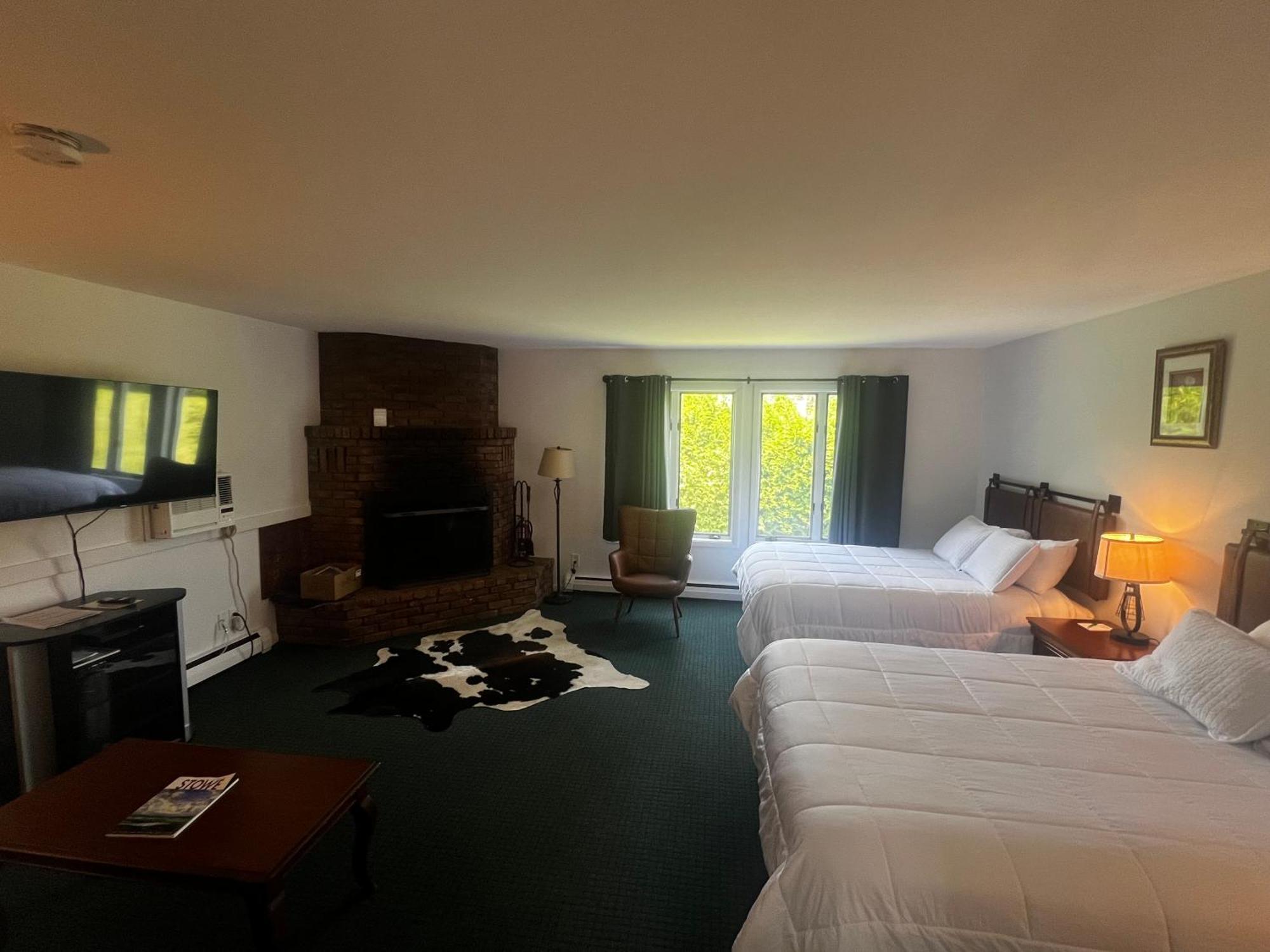 Deluxe Fireplace Efficiency Room