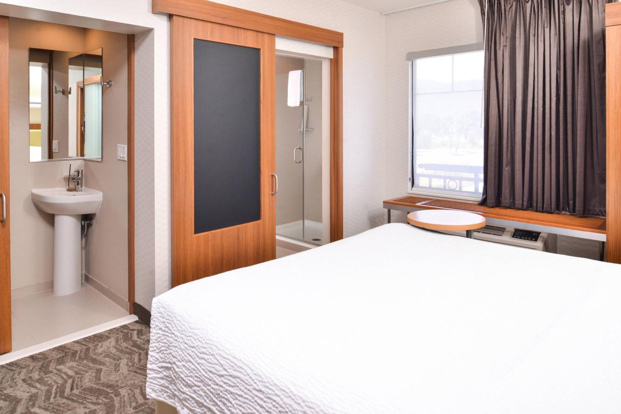 King Suite with Transfer Shower and Trundle Sofa - Mobility Access/Hearing Accessible