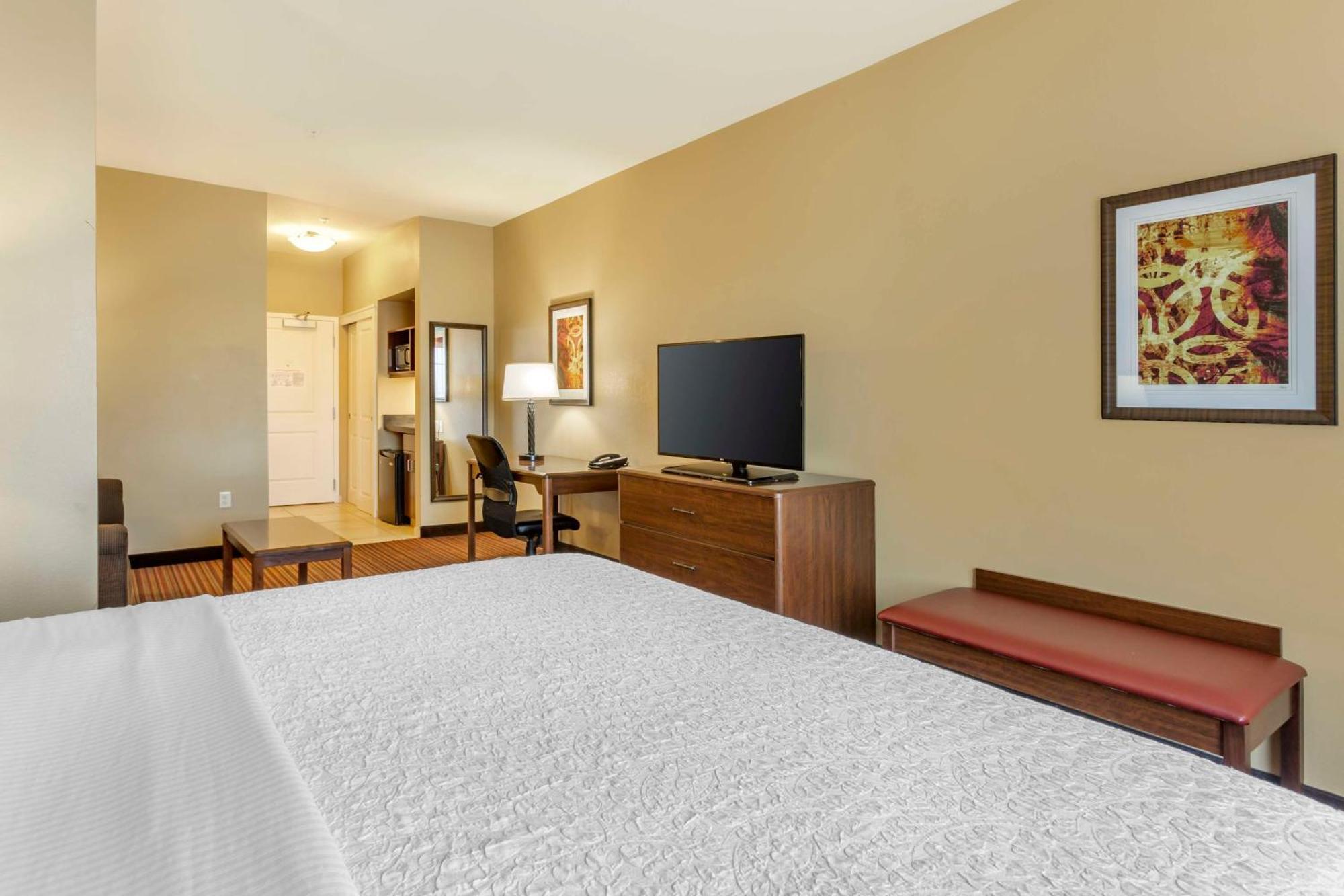 King Suite with Sofa Bed - Non-Smoking