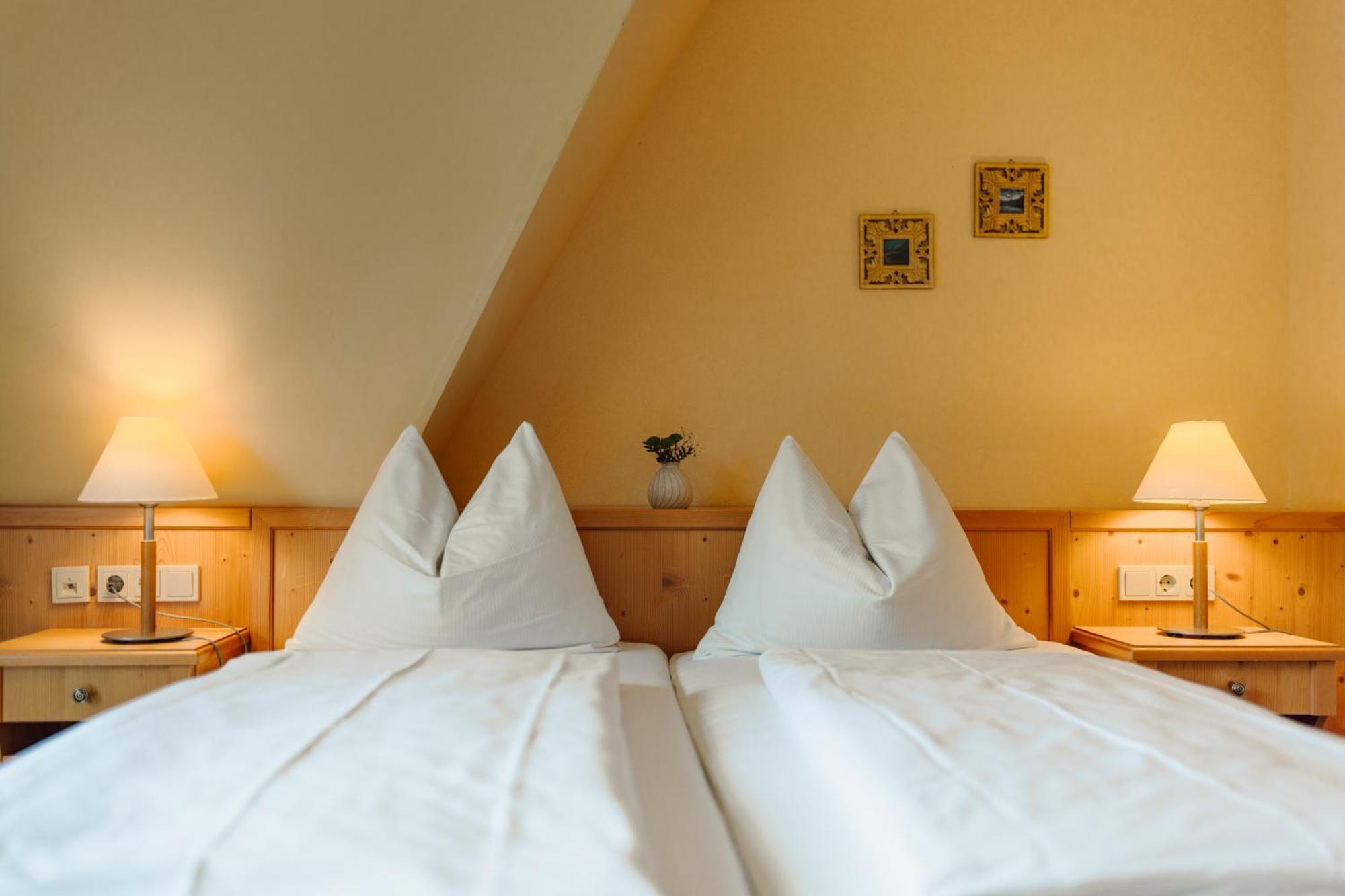 Double Room with Mountain View
