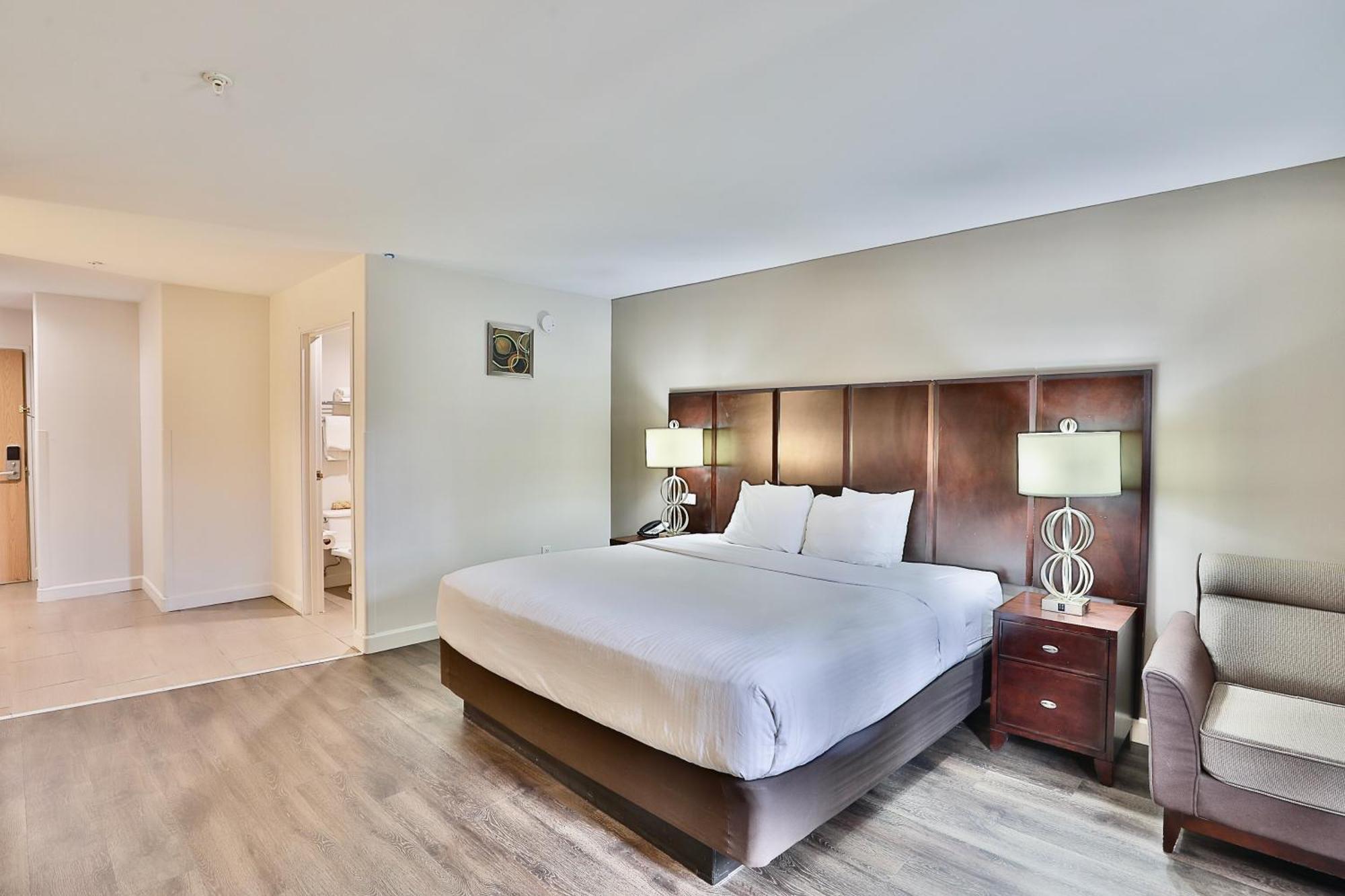 Suite Deluxe con cama extragrande para no fumadores