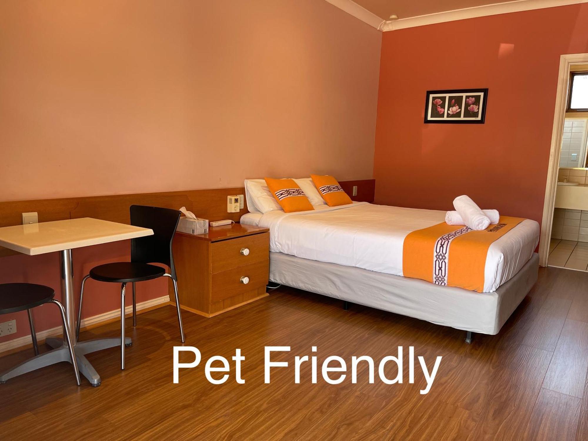 Standard Queen Room - Pet Friendly