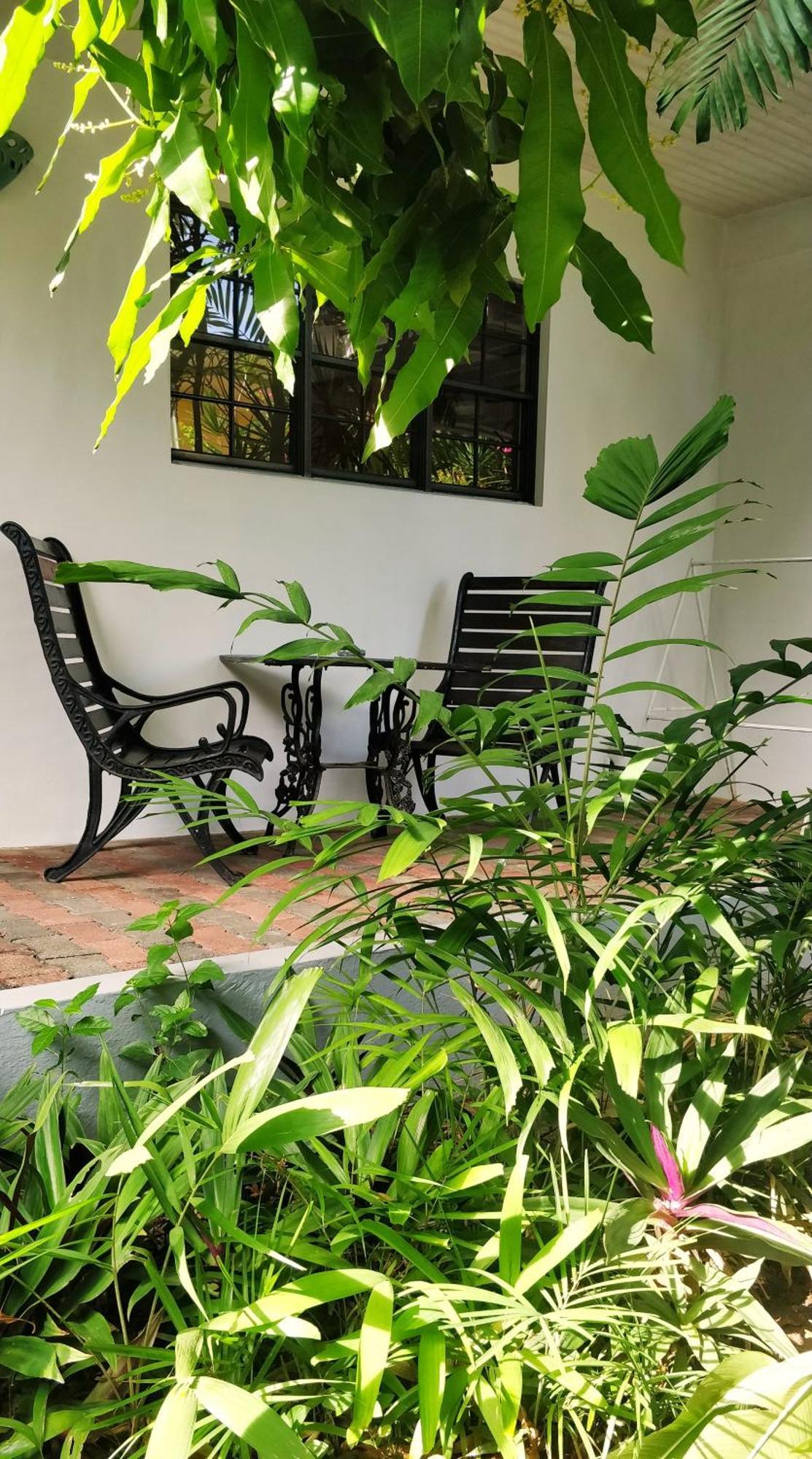 Studio with Garden View