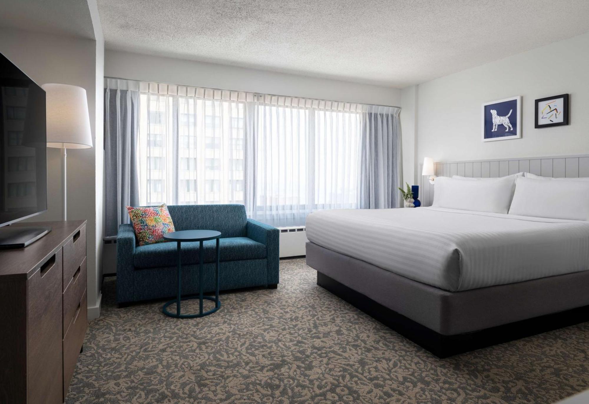 Suite Studio - 1 Lit King-Size