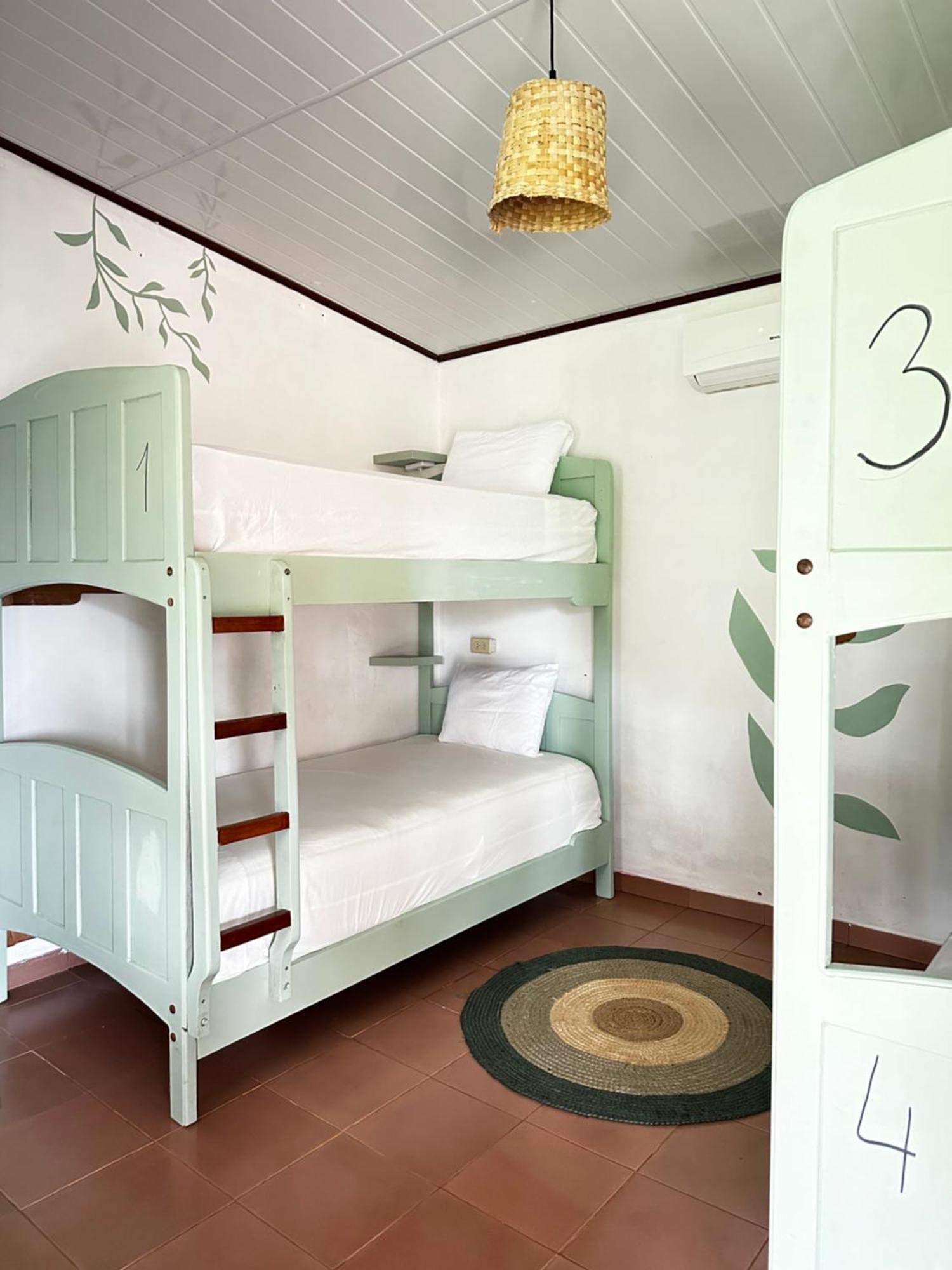 Bunk Bed in Mixed Dormitory Room