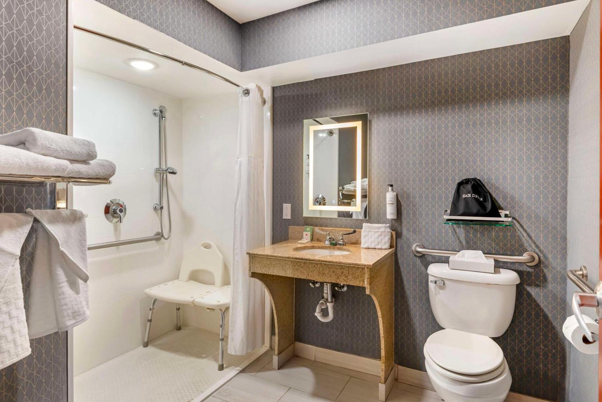 King Room Roll Shower Disability Access or Non-Smoking