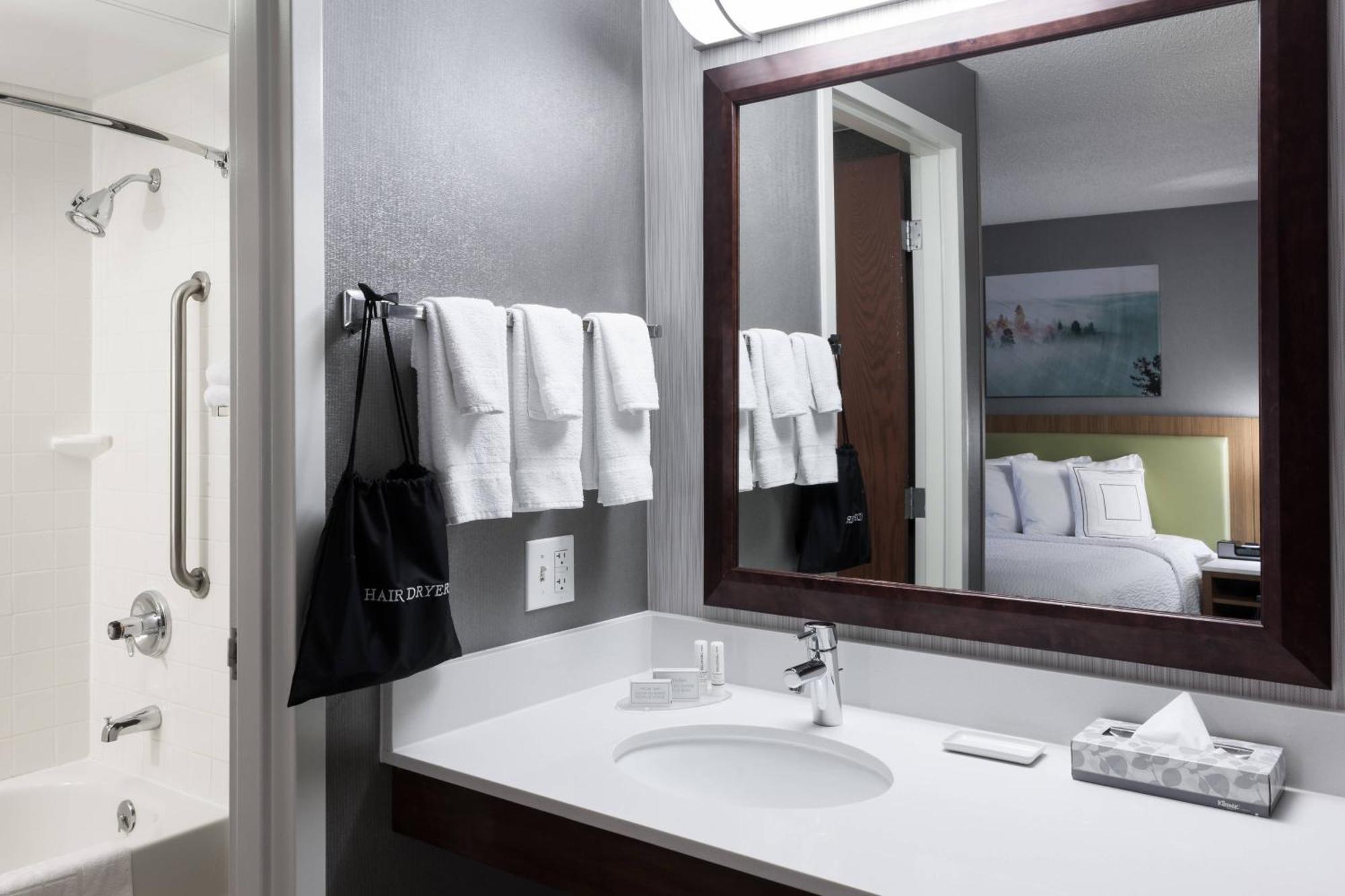 One-Bedroom King Suite with Bathtub and Sofa Bed - Mobility Access