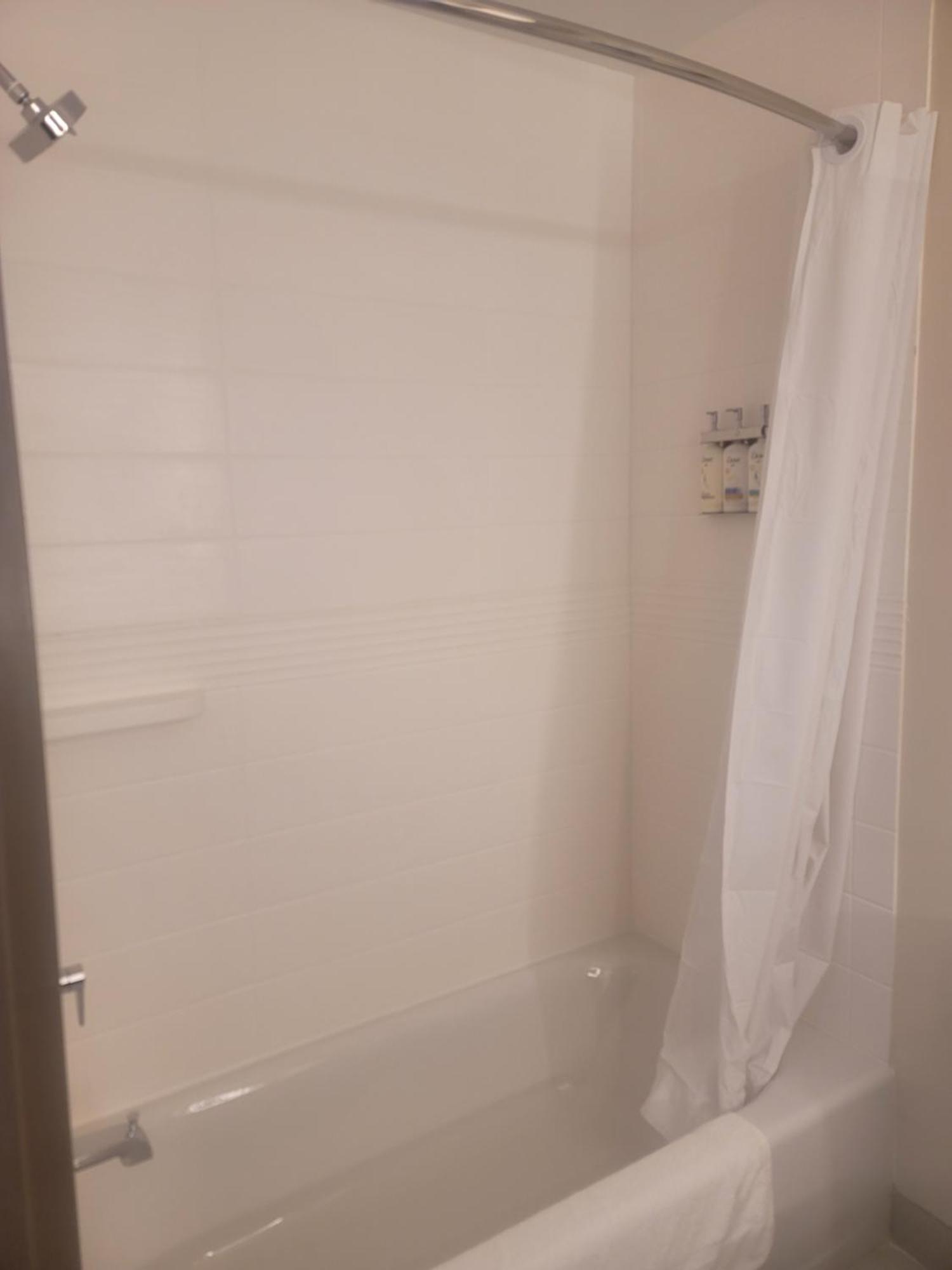 Studio Suite with Two Queen Beds
