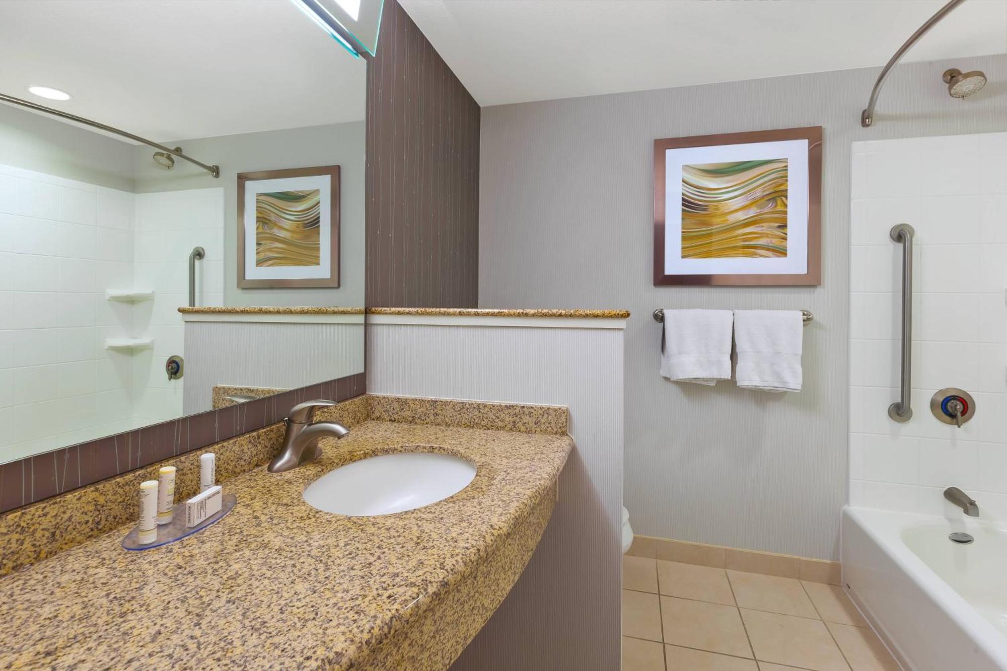 One-Bedroom King Suite