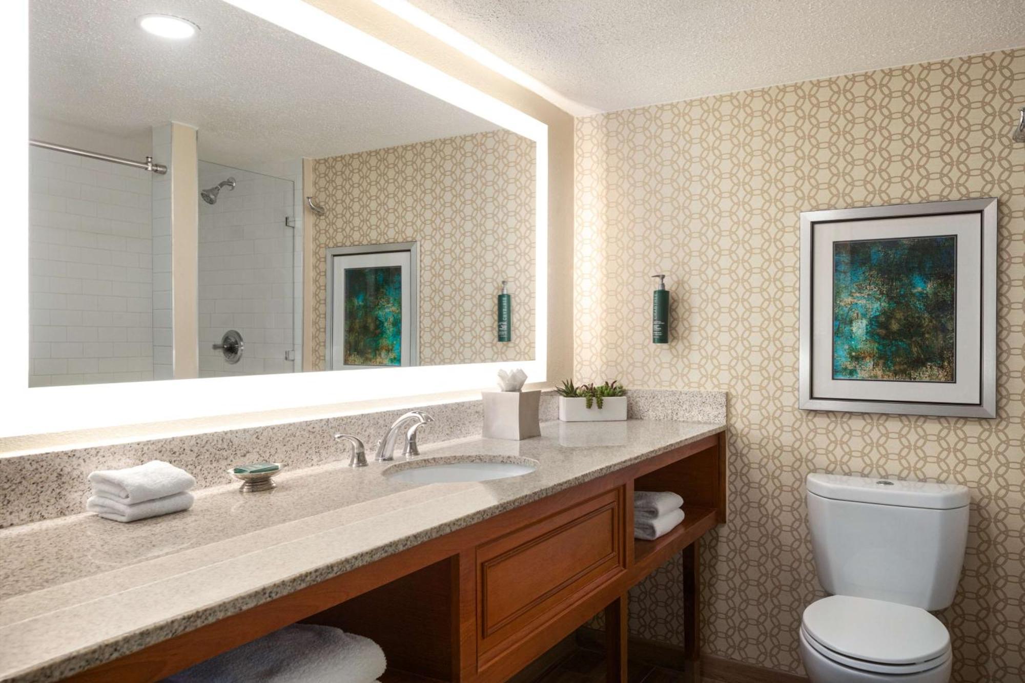 King Studio Suite