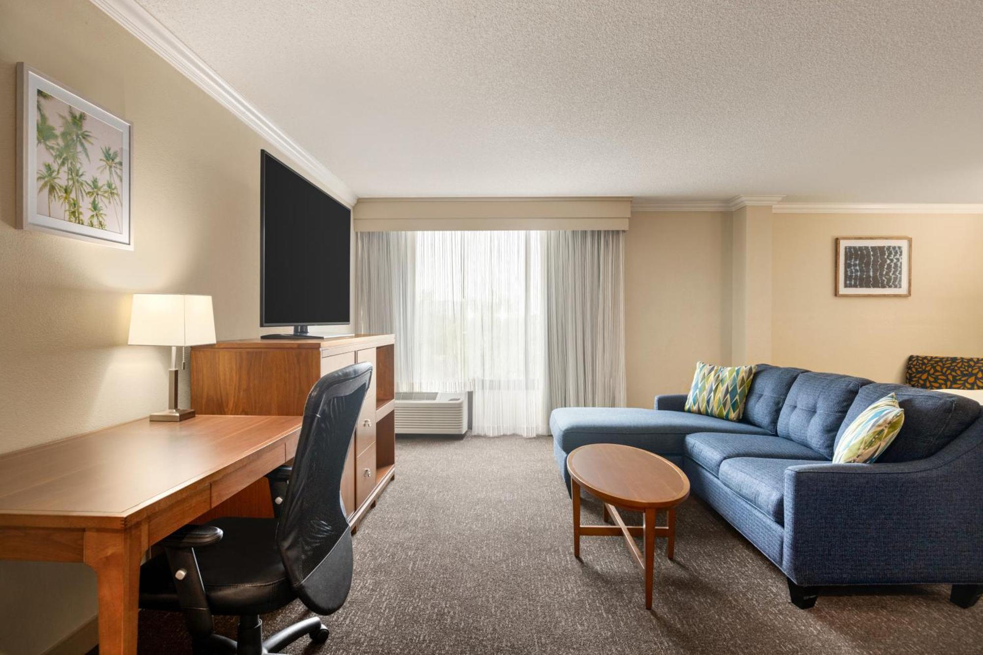 King Studio Suite
