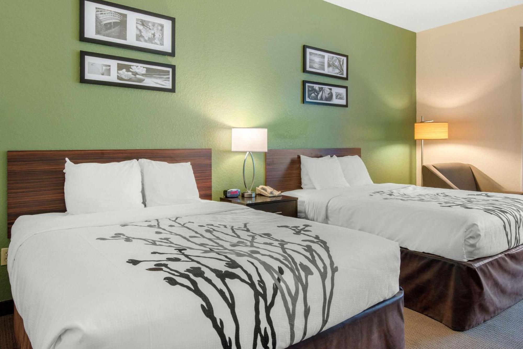 Queen Room with Two Queen Beds - Non-Smoking / Pet Friendly
