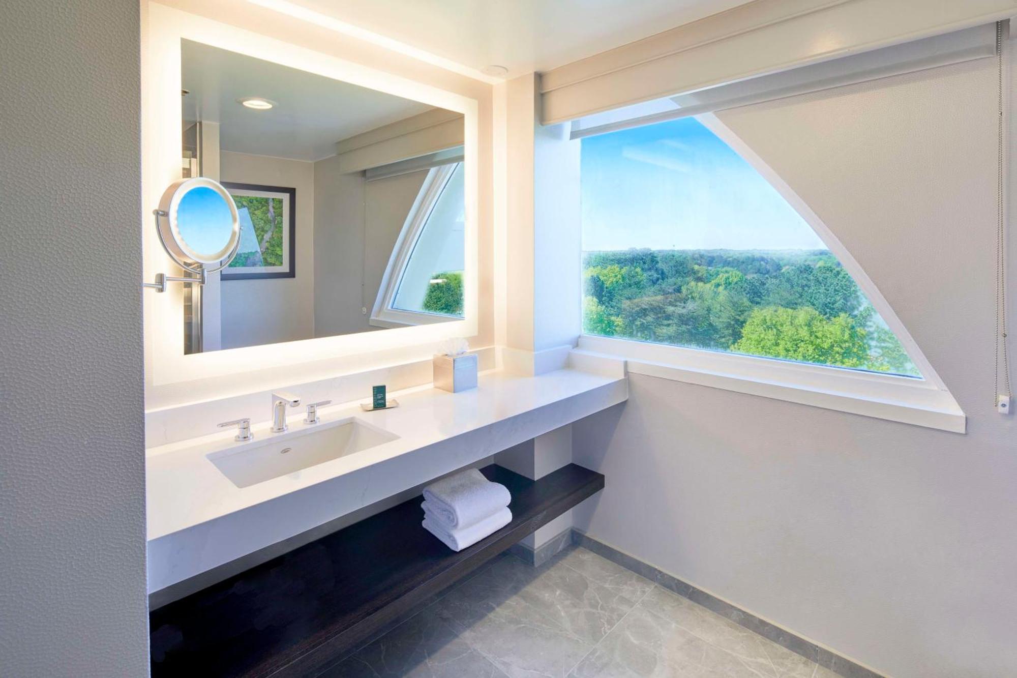 Junior King Suite with Sofa Bed