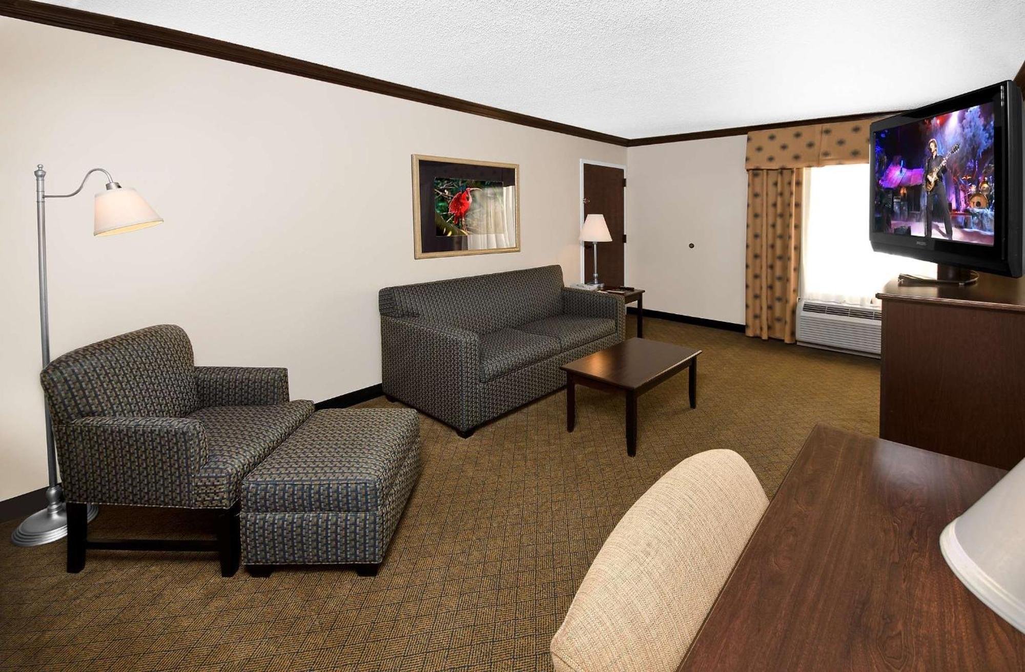 One-Bedroom King Suite with Sofa Bed - Non-Smoking