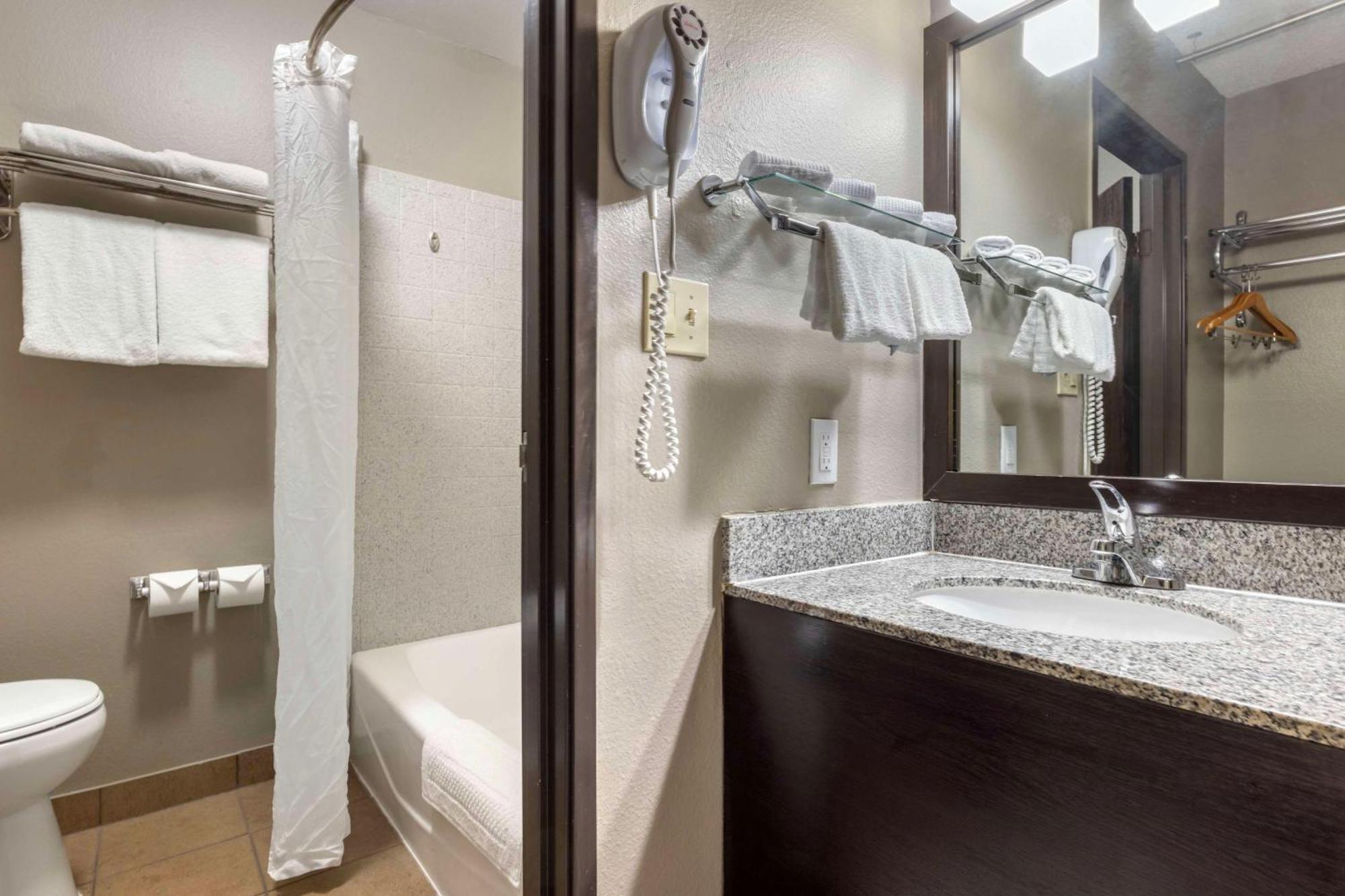 Quarto Amplo com Cama King-size e Sofá-cama - Não Fumantes