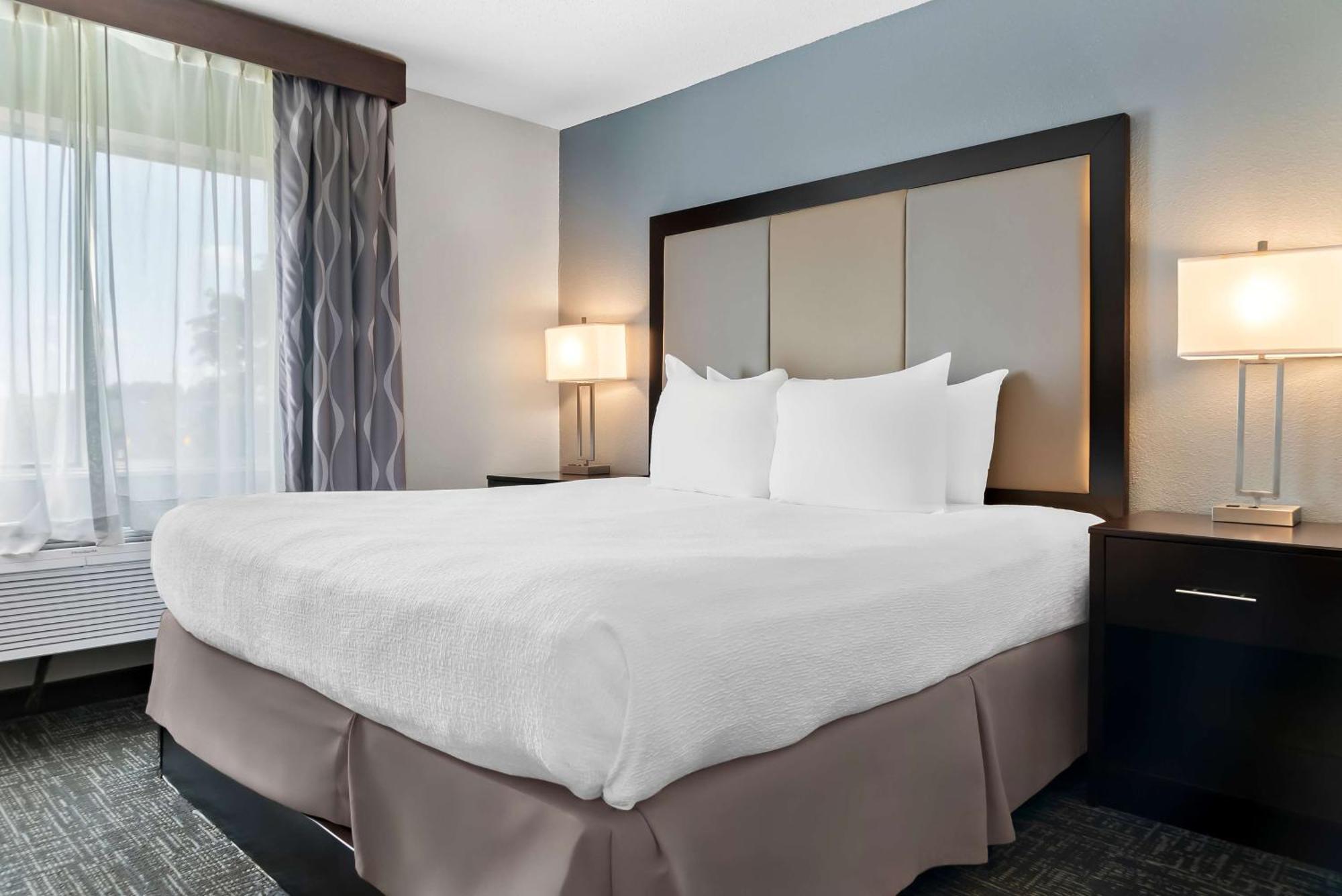 King Suite with Sofa Bed