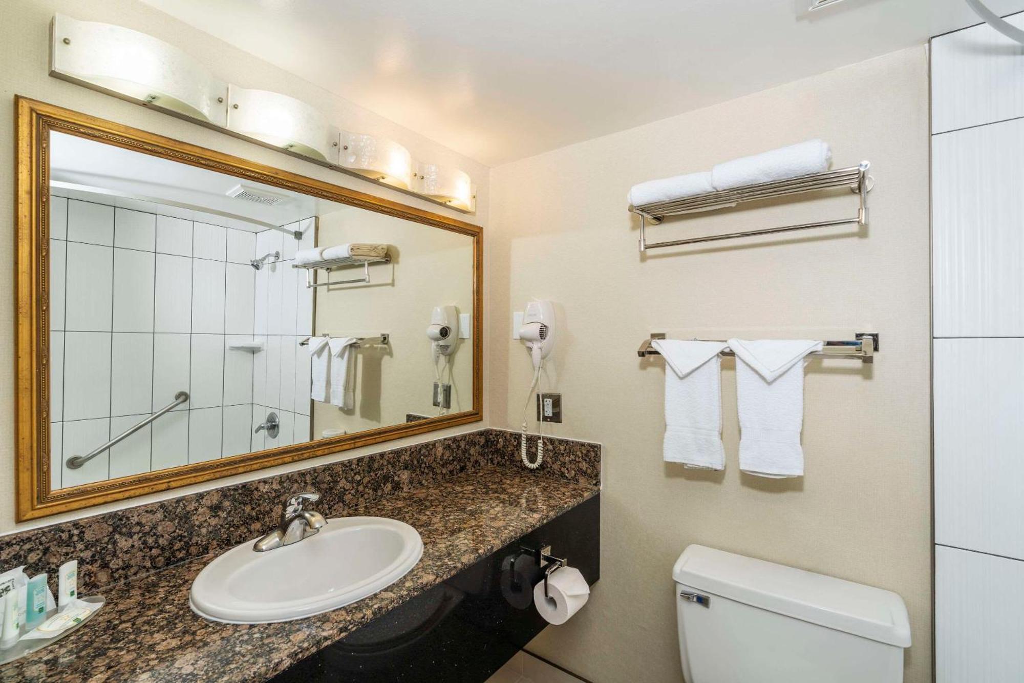 Habitación con 2 camas grandes - No fumadores
