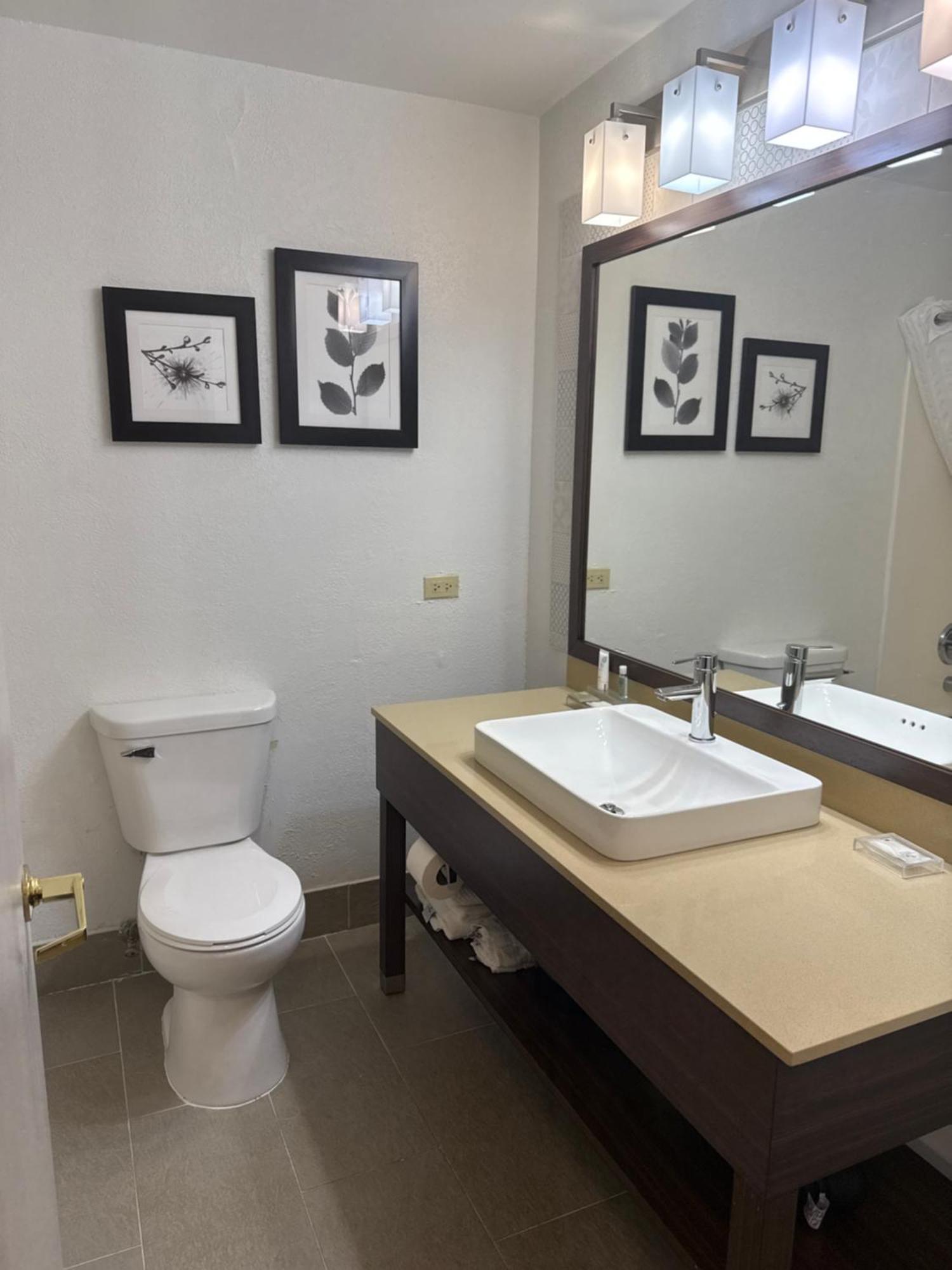 King Suite with Whirlpool - Non-Smoking