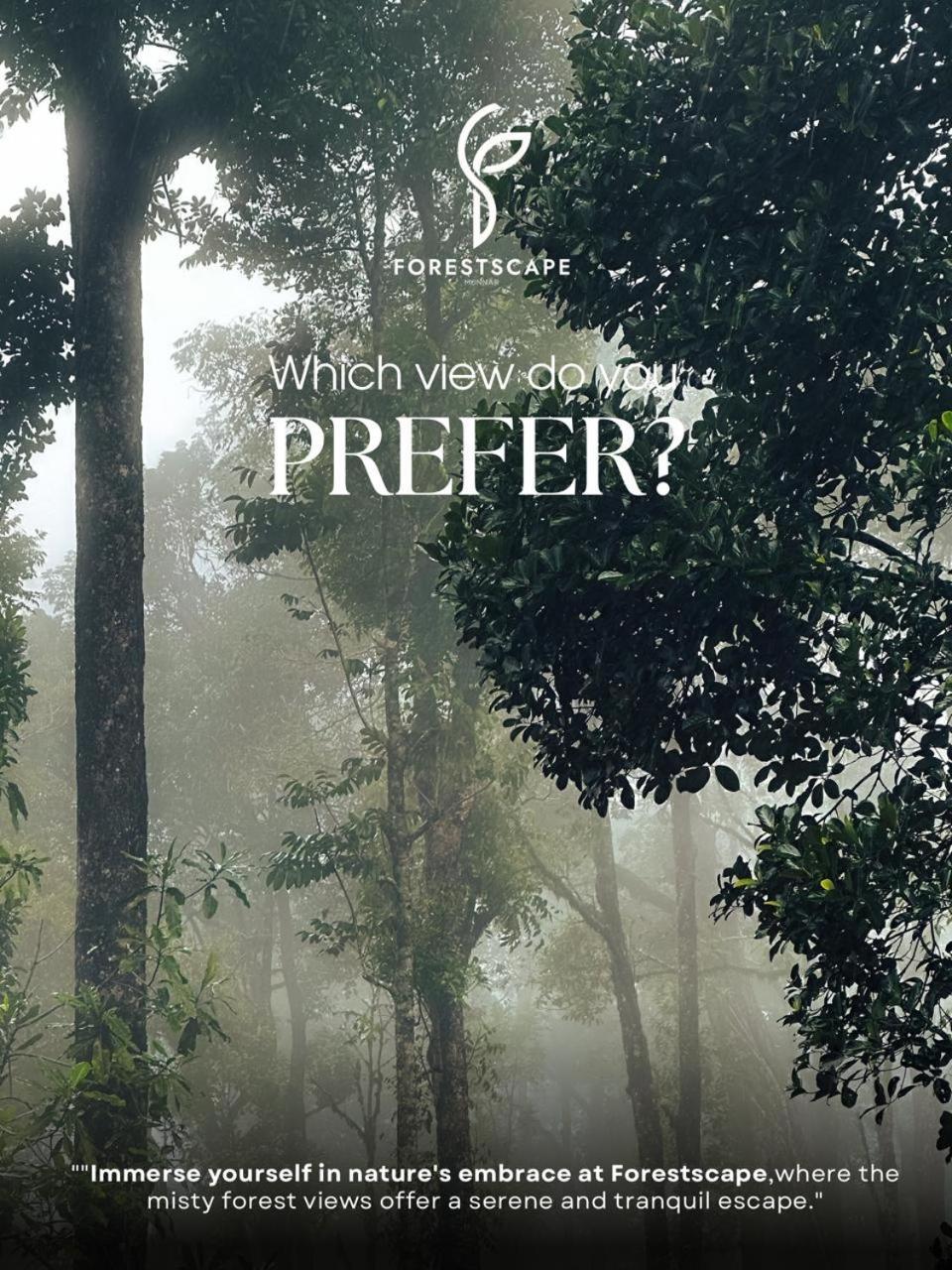 Forest view room