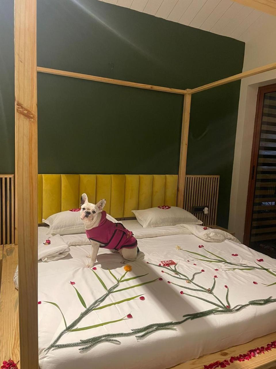 Sol Studio with 10% discount on Spa