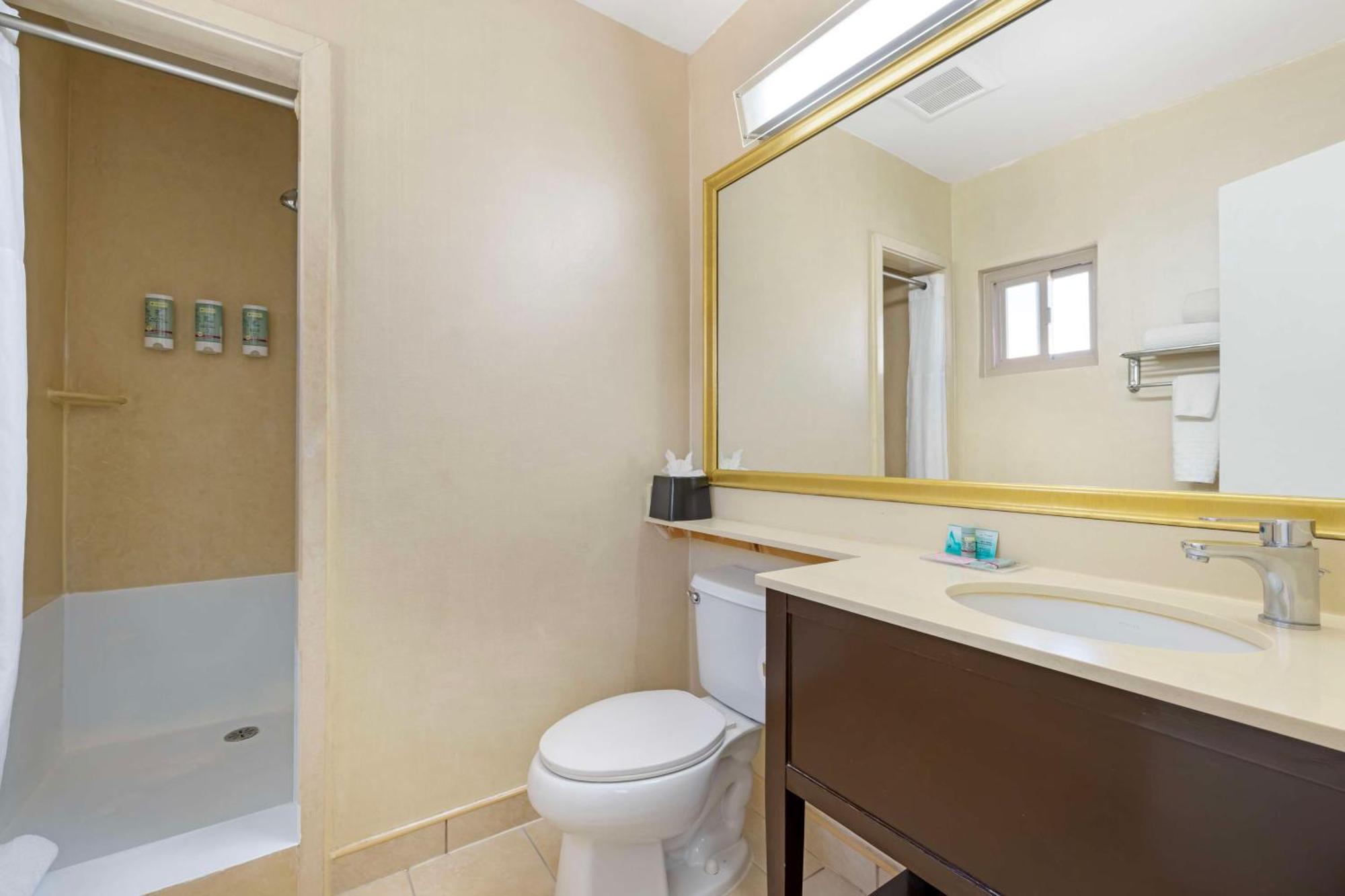 Chambre Lit Queen-Size avec Baignoire - Accessible aux Personnes à Mobilité Réduite - Non-Fumeurs