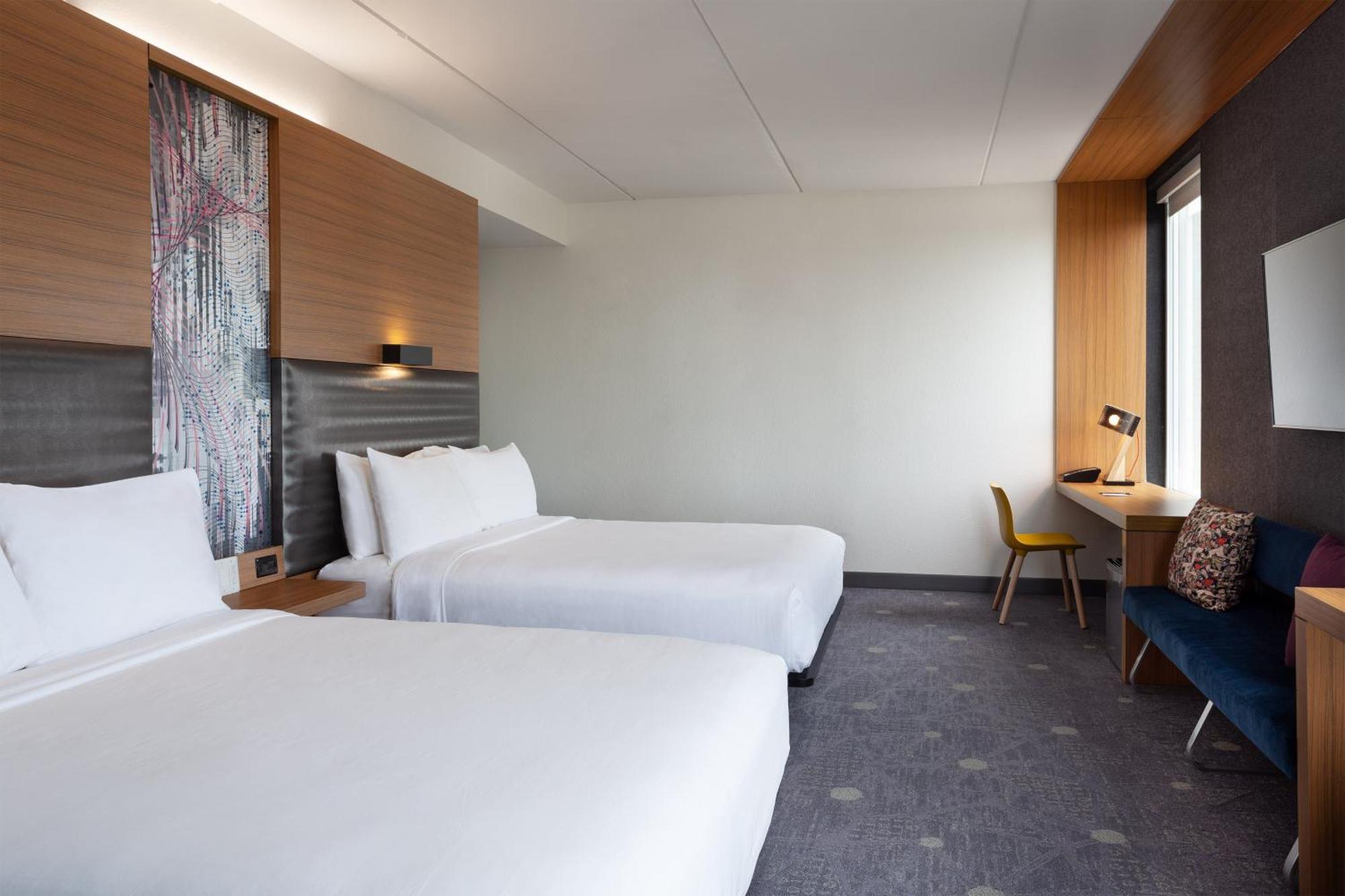 Allergy Free Room, Guest room, 2 Queen