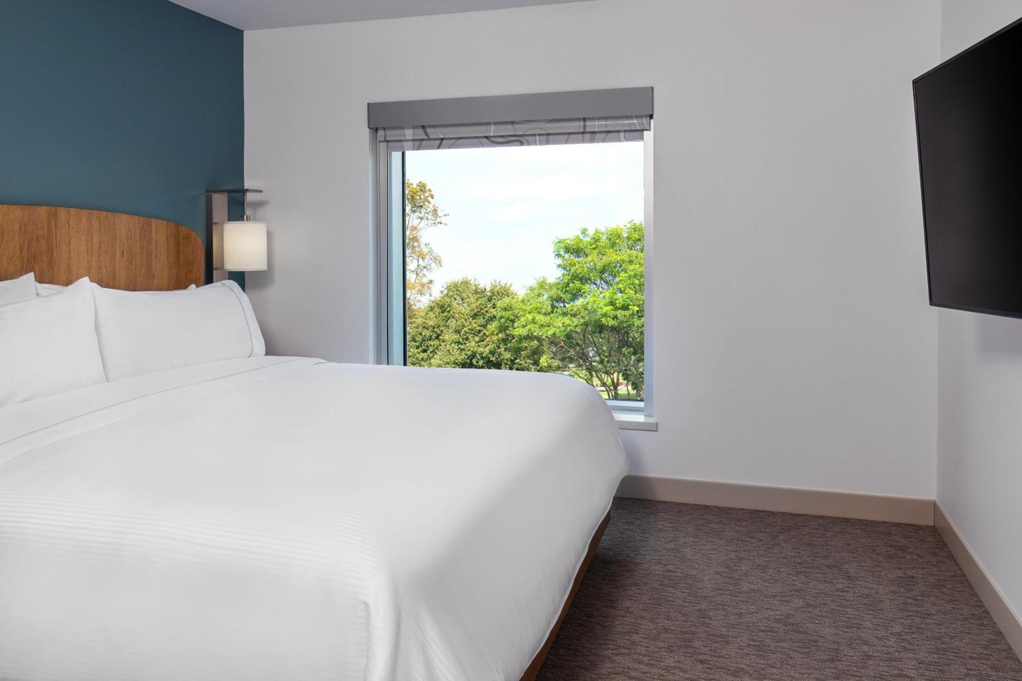 1 Bedroom Suite, 1 King, Sofa bed