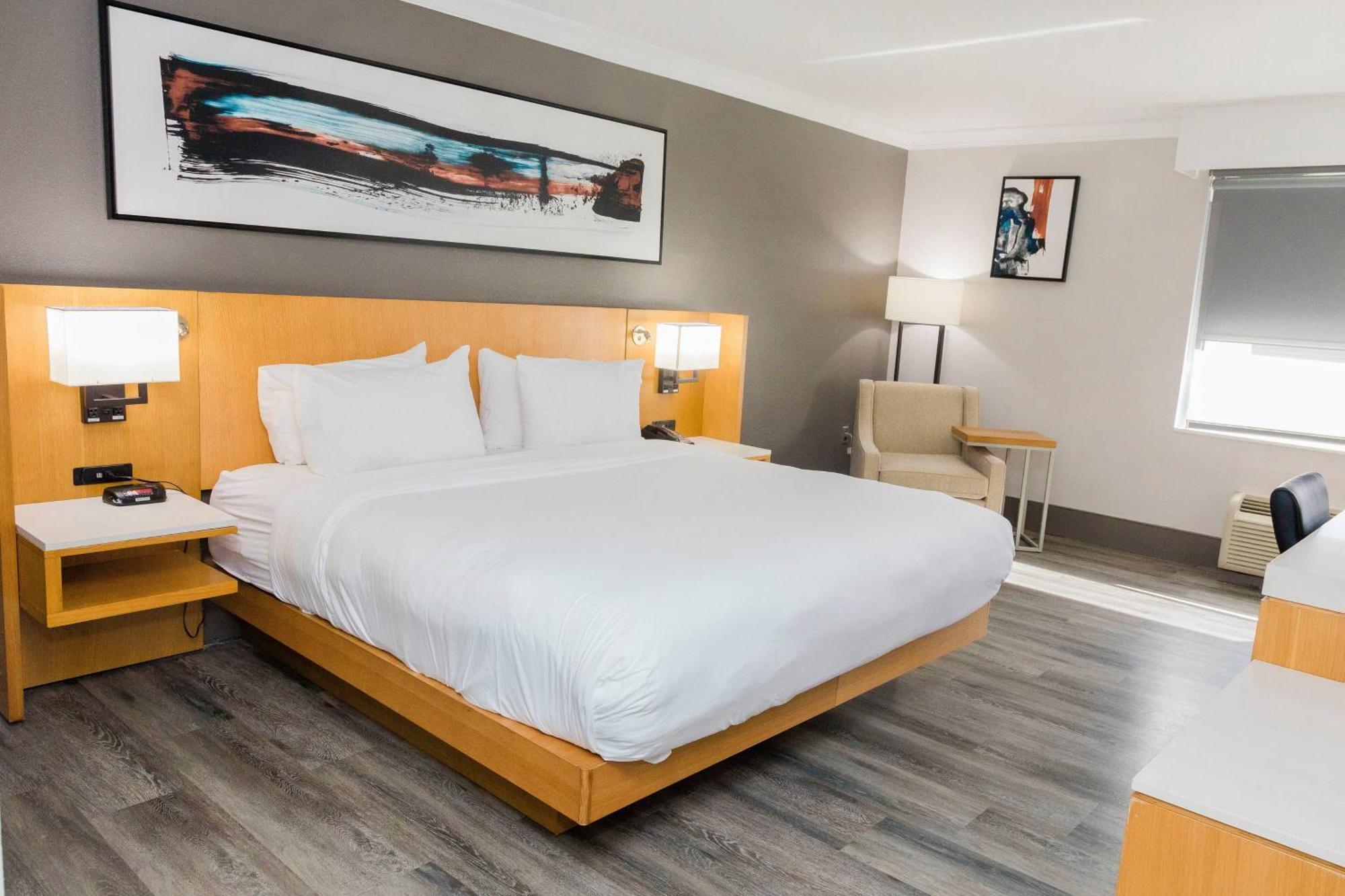 King Guest Room