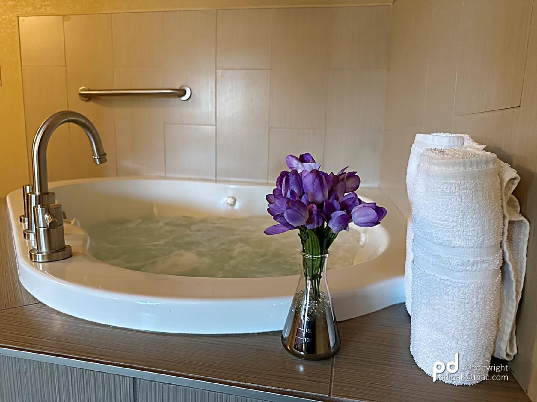 Executive King Suite with Spa Bath - Non-Smoking