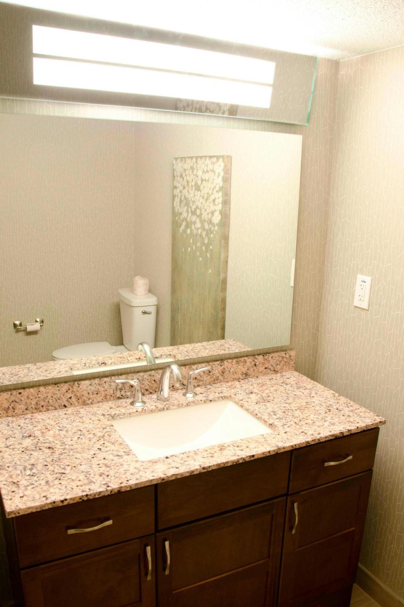 One-Bedroom King Suite