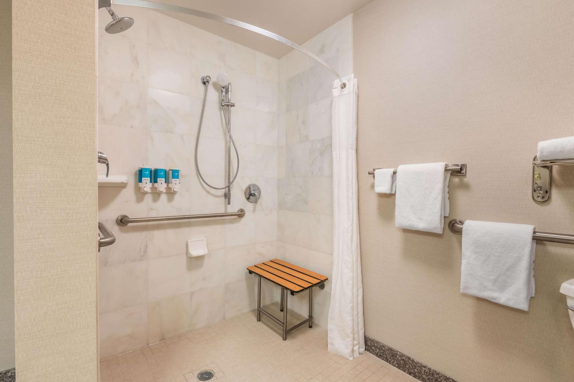 Deluxe King Room - Accessible, Roll-in Shower