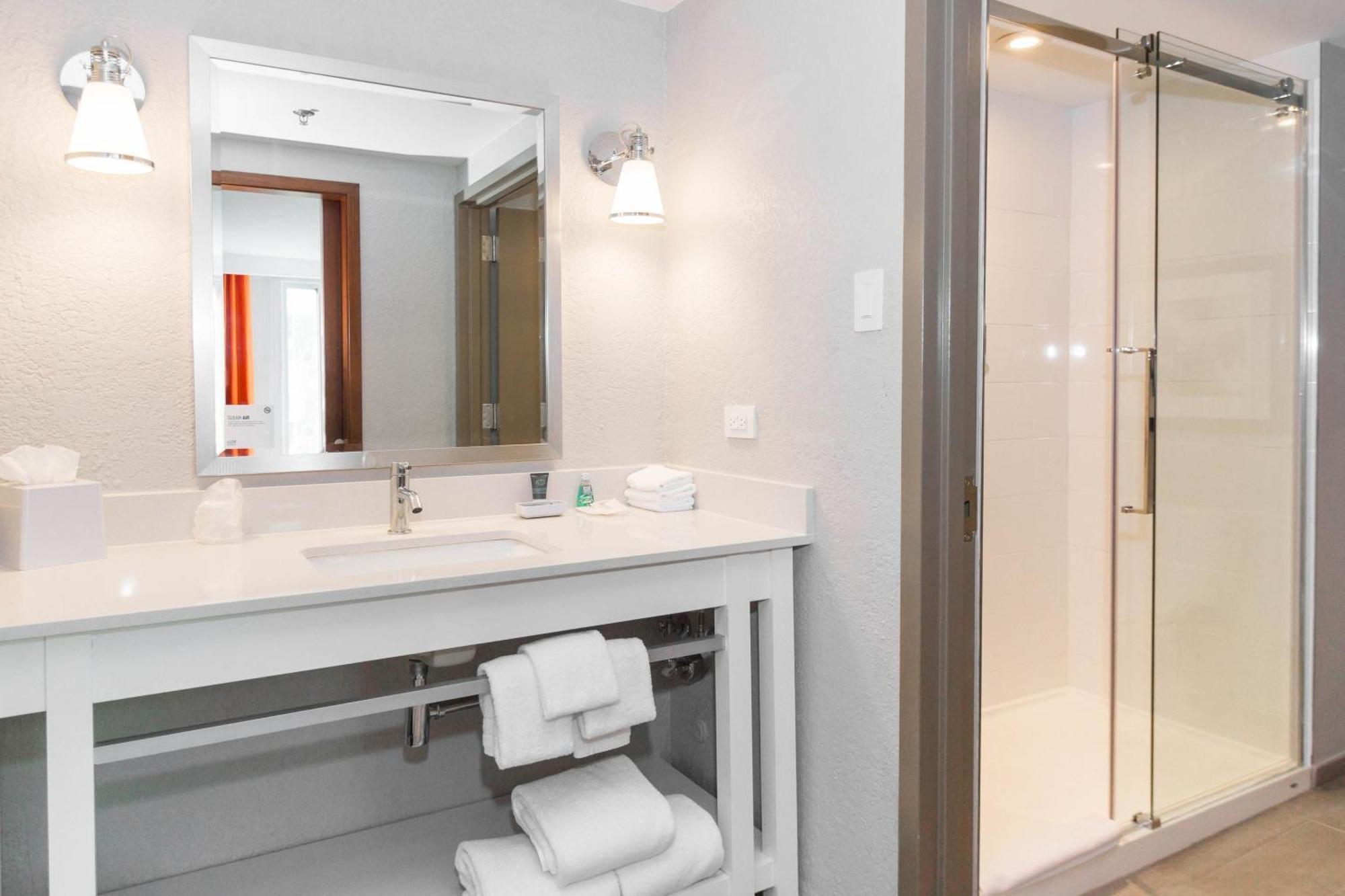 Suite Deluxe con vistas a la piscina - 1 cama extragrande y sofá cama