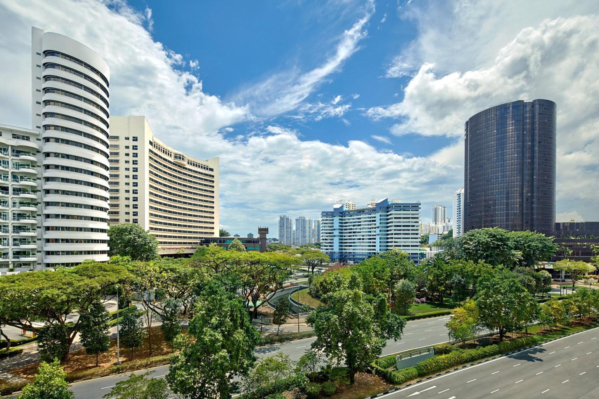 1 Bedroom Suite, 1 King, City view,1632992678:JPEG