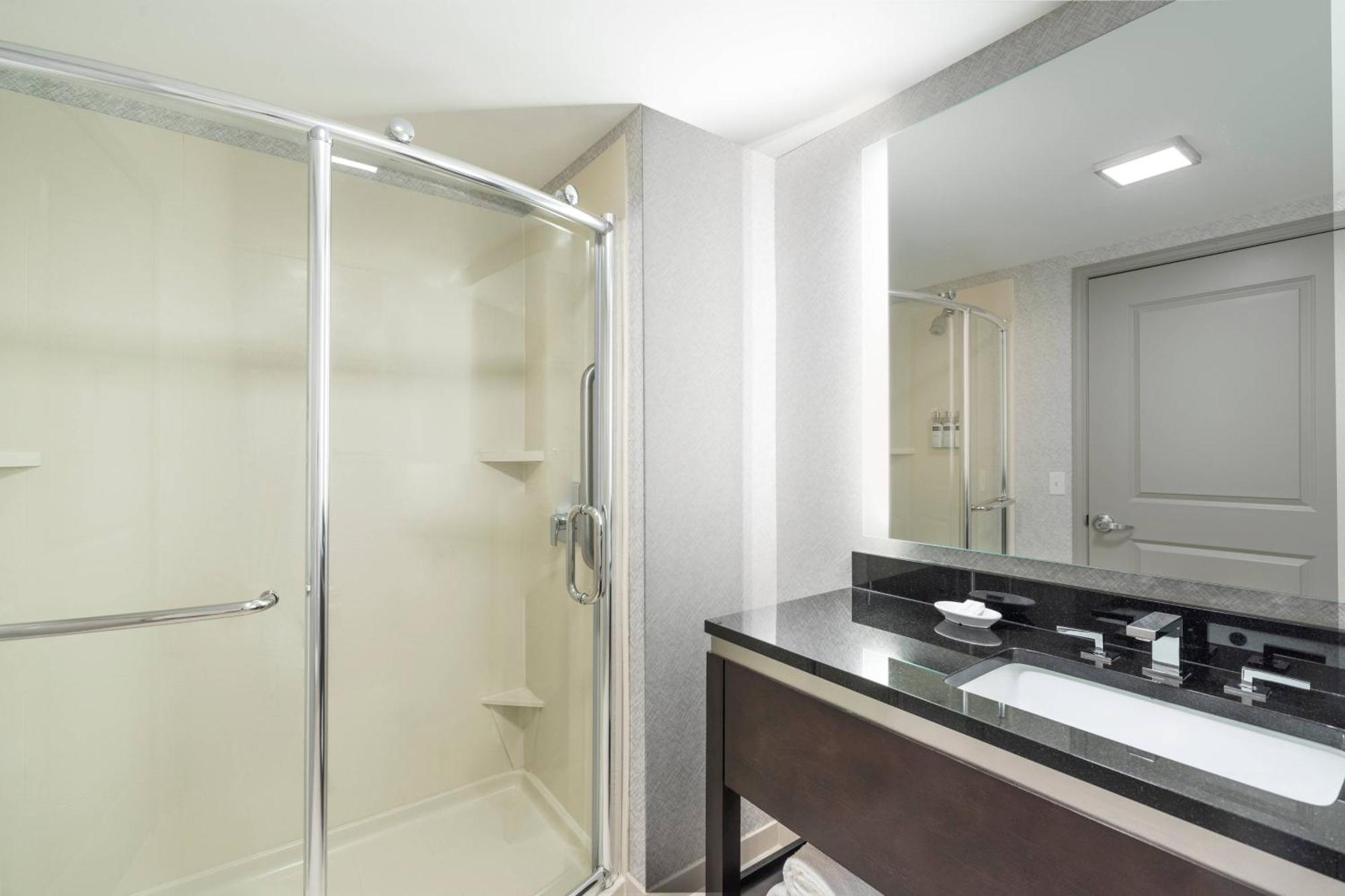King Suite with Sofa Bed