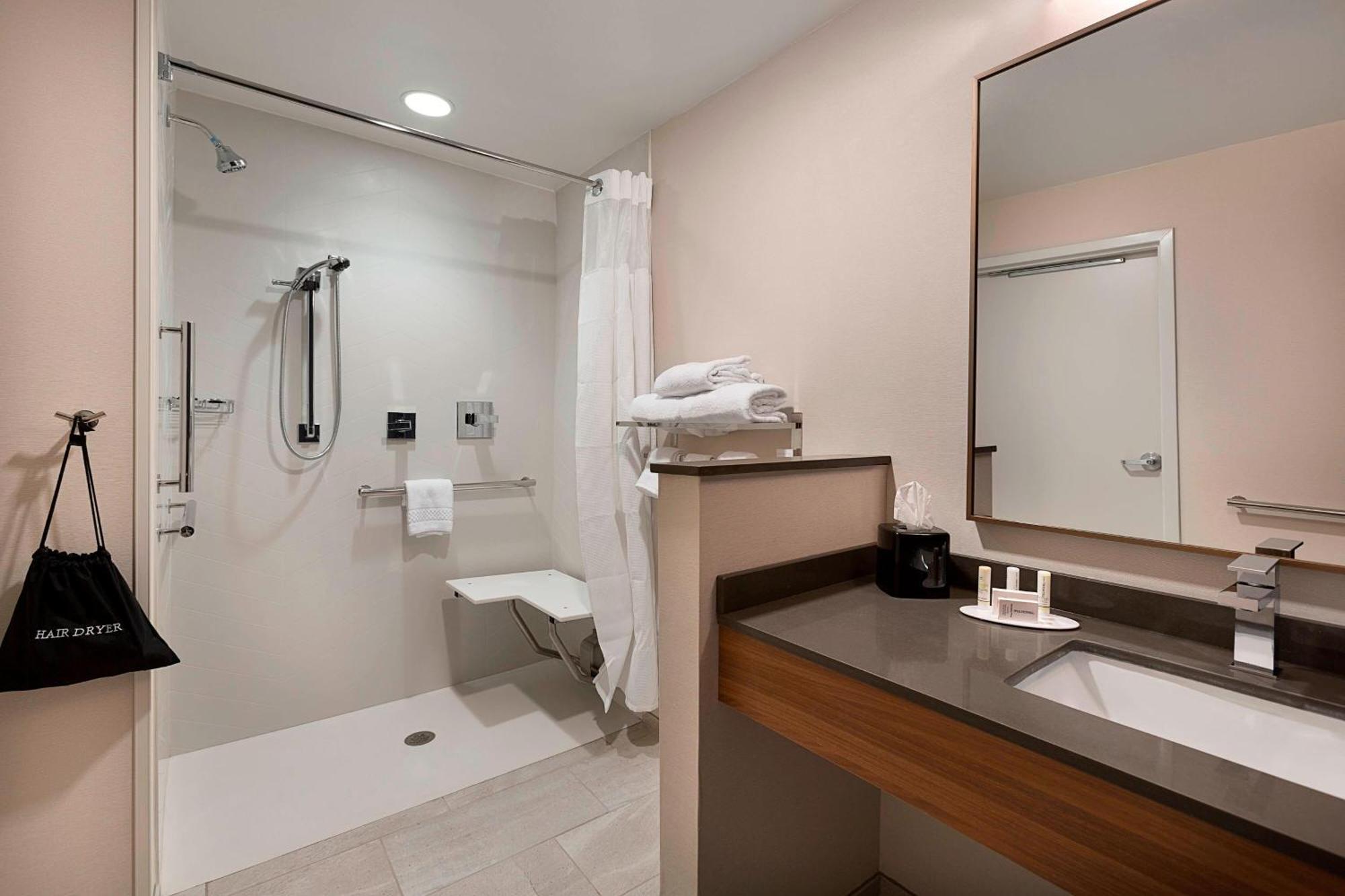 King Suite with Sofa Bed