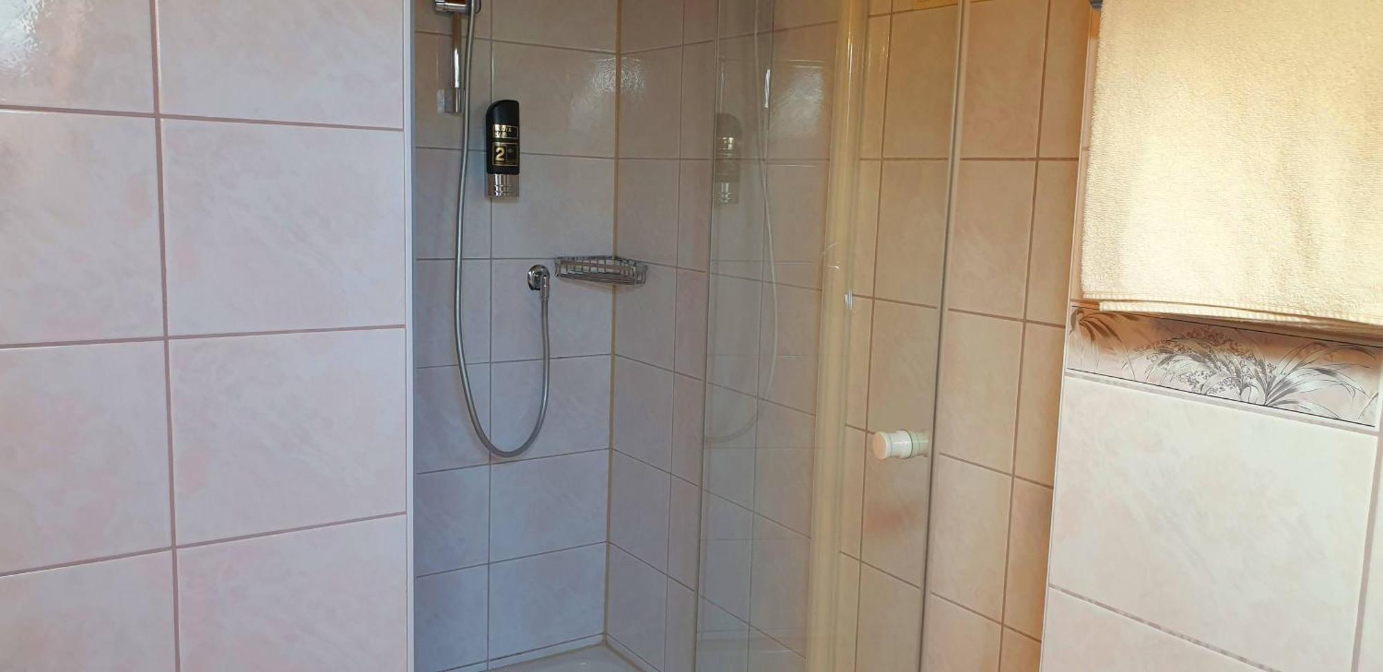 Apartment mit 1 Schlafzimmer