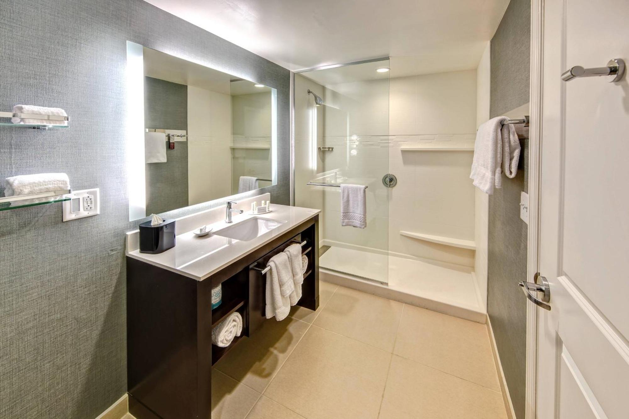 One-Bedroom King Suite with Sofa Bed and Mountain View - Hearing Accessible