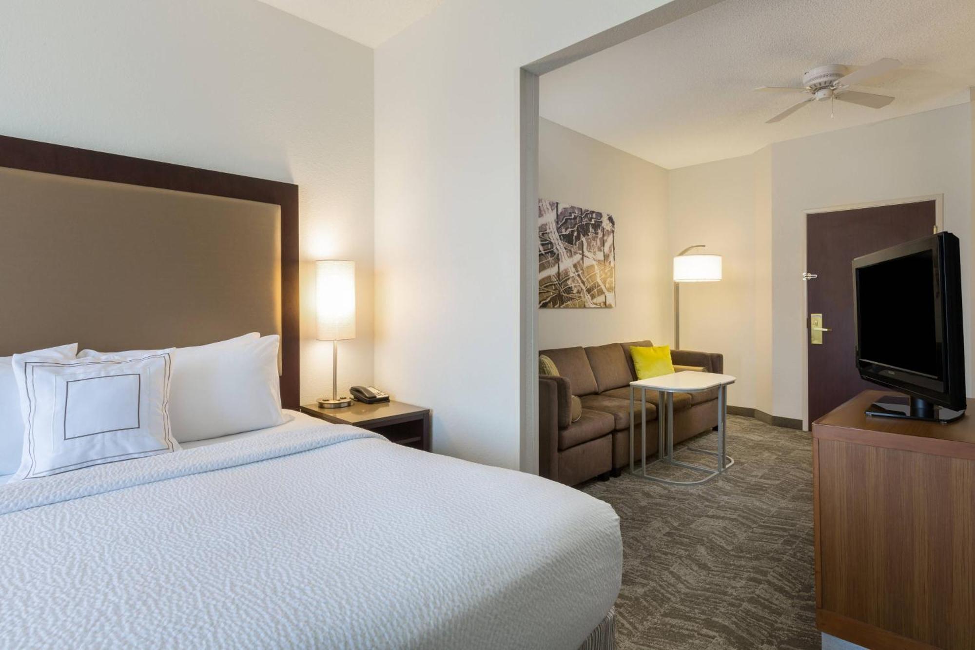 Estudio con cama extragrande y sofá cama