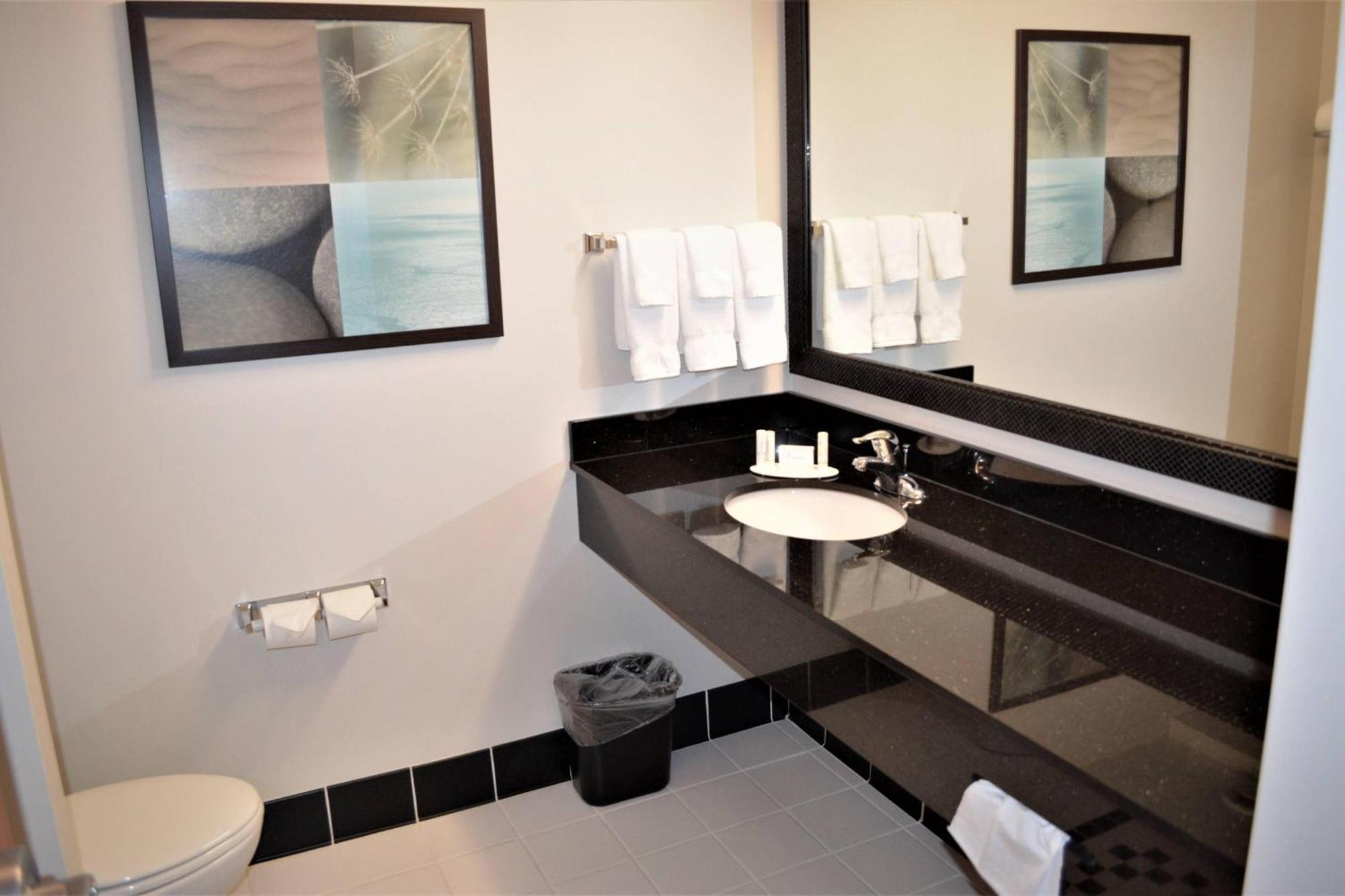 King Suite with Bathtub and Sofa Bed - Mobility Access/Hearing Accessible