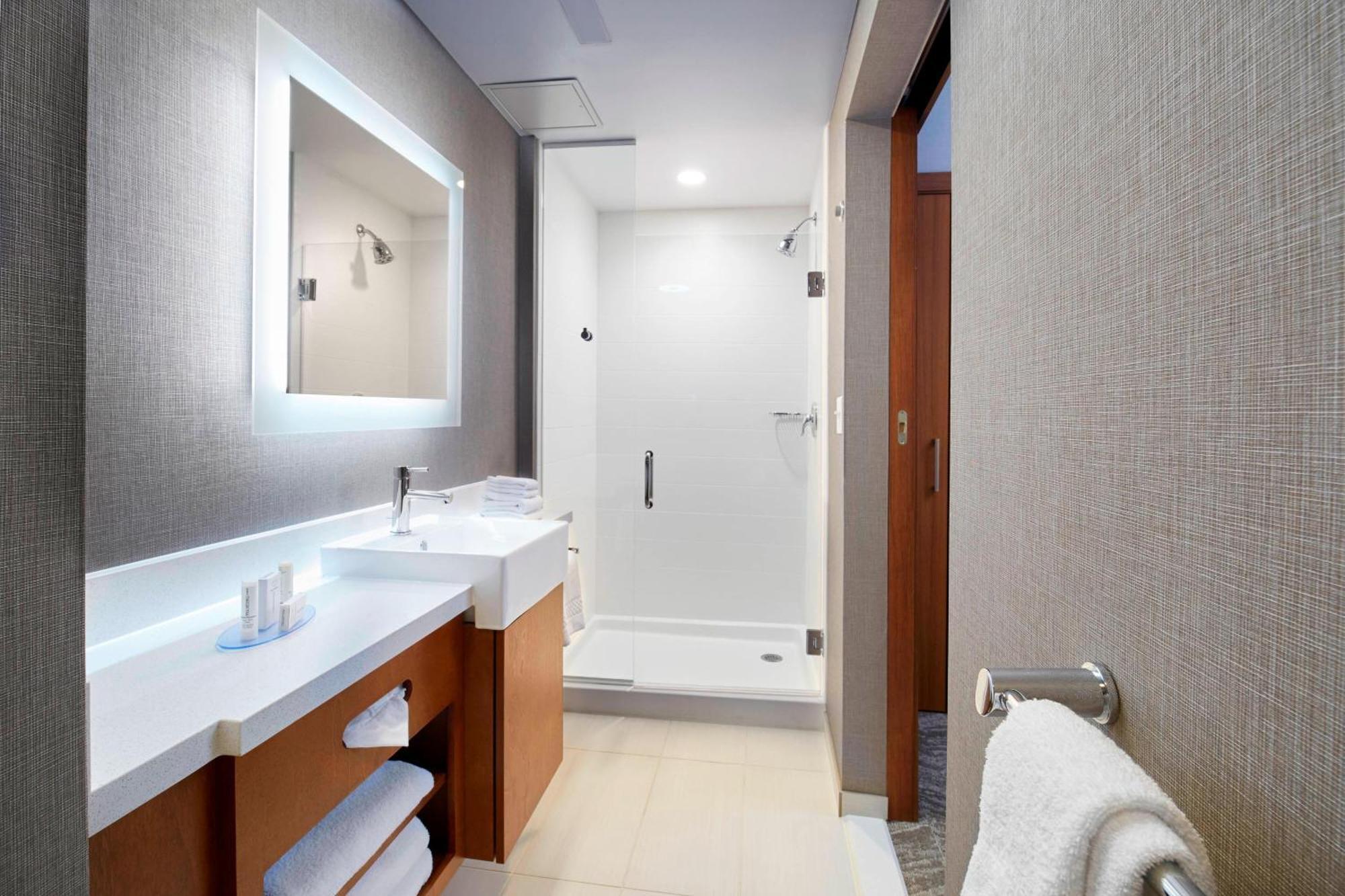 King Suite with Bathtub and Sofa Bed - Mobility Access/Hearing Accessible