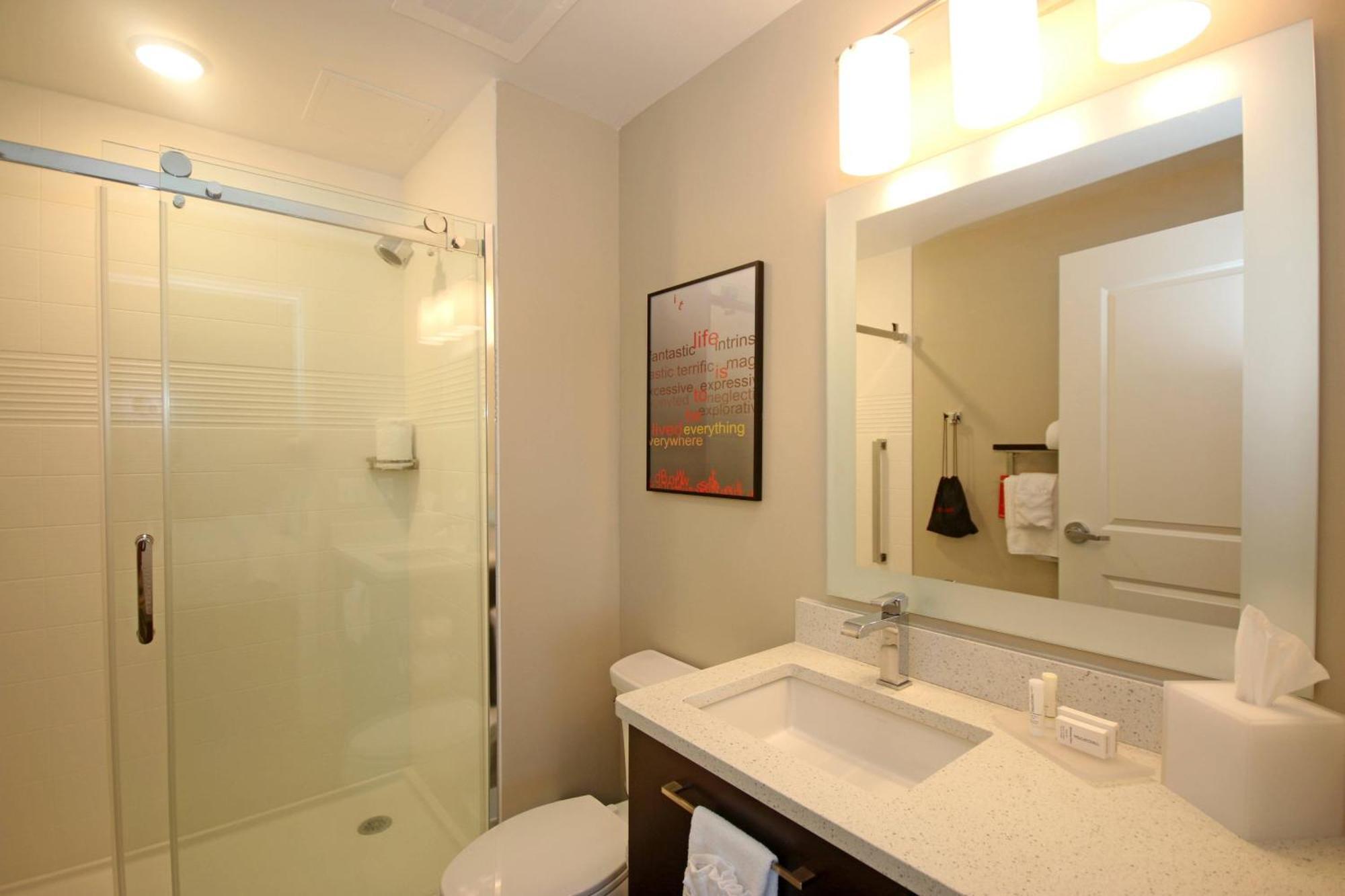 King Suite with Sofa Bed