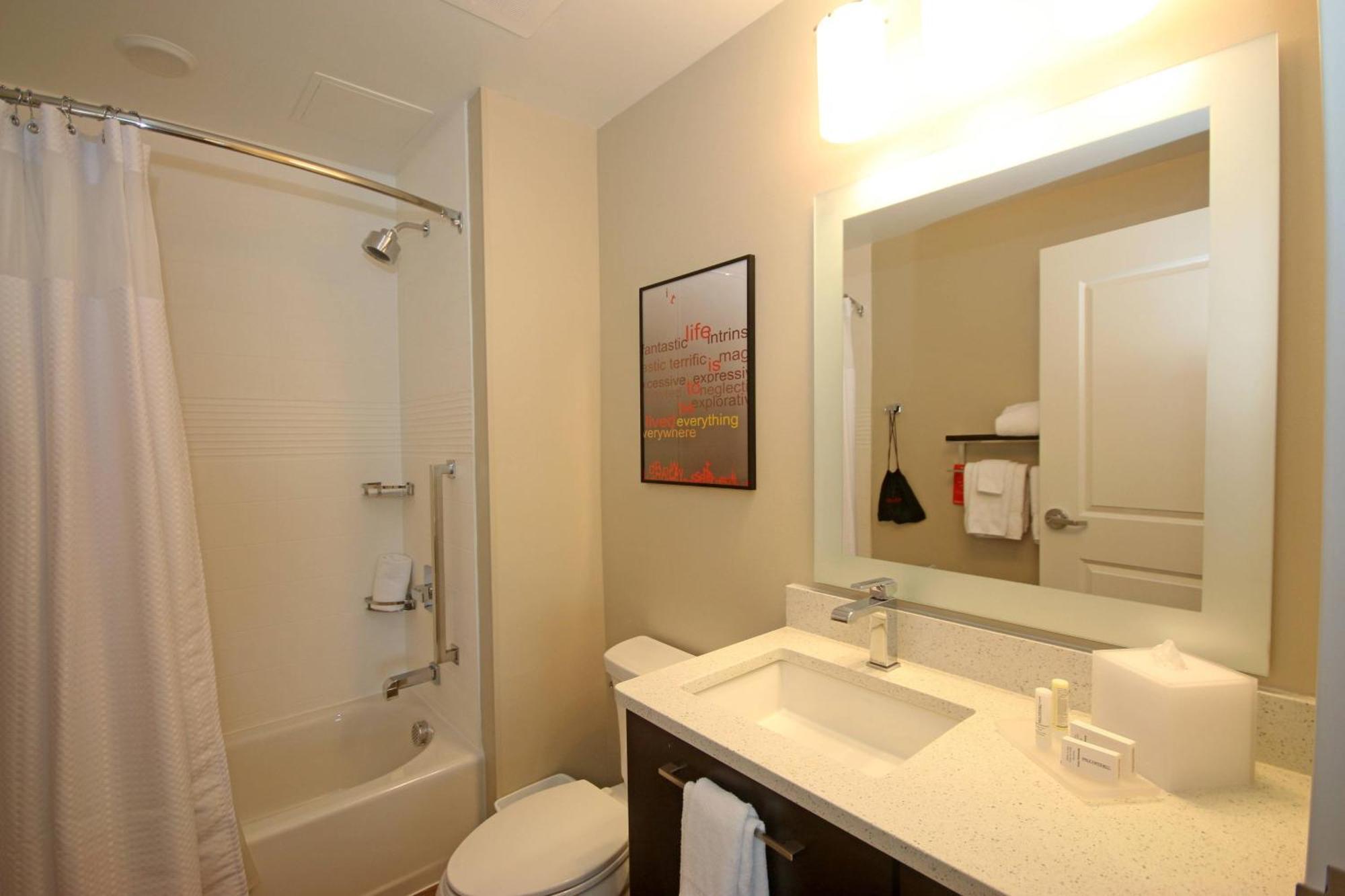 One-Bedroom Suite with Sofa Bed