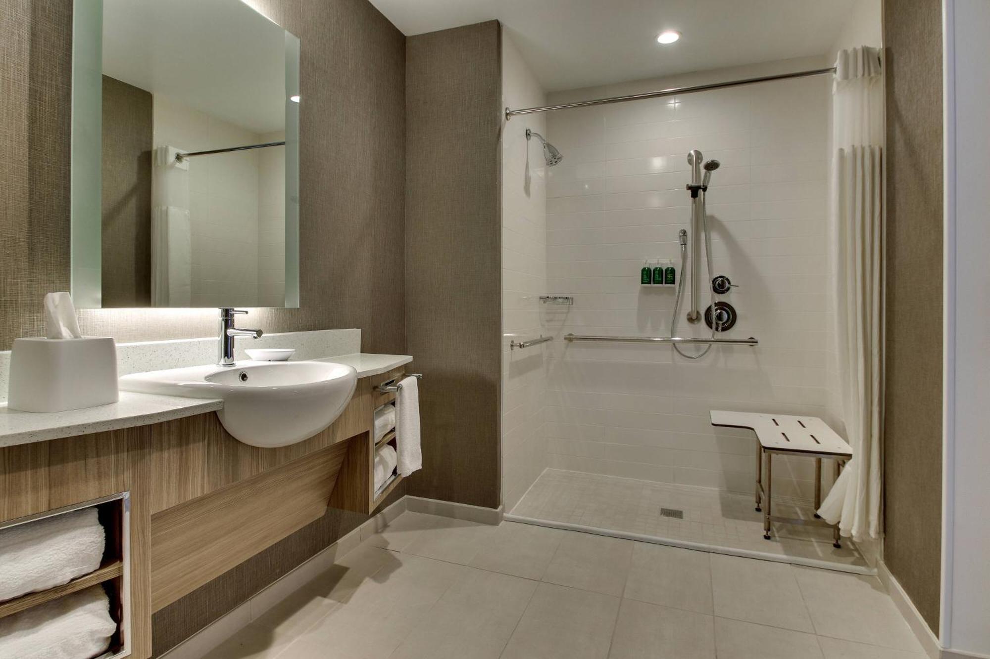 King Suite with Sofa Bed